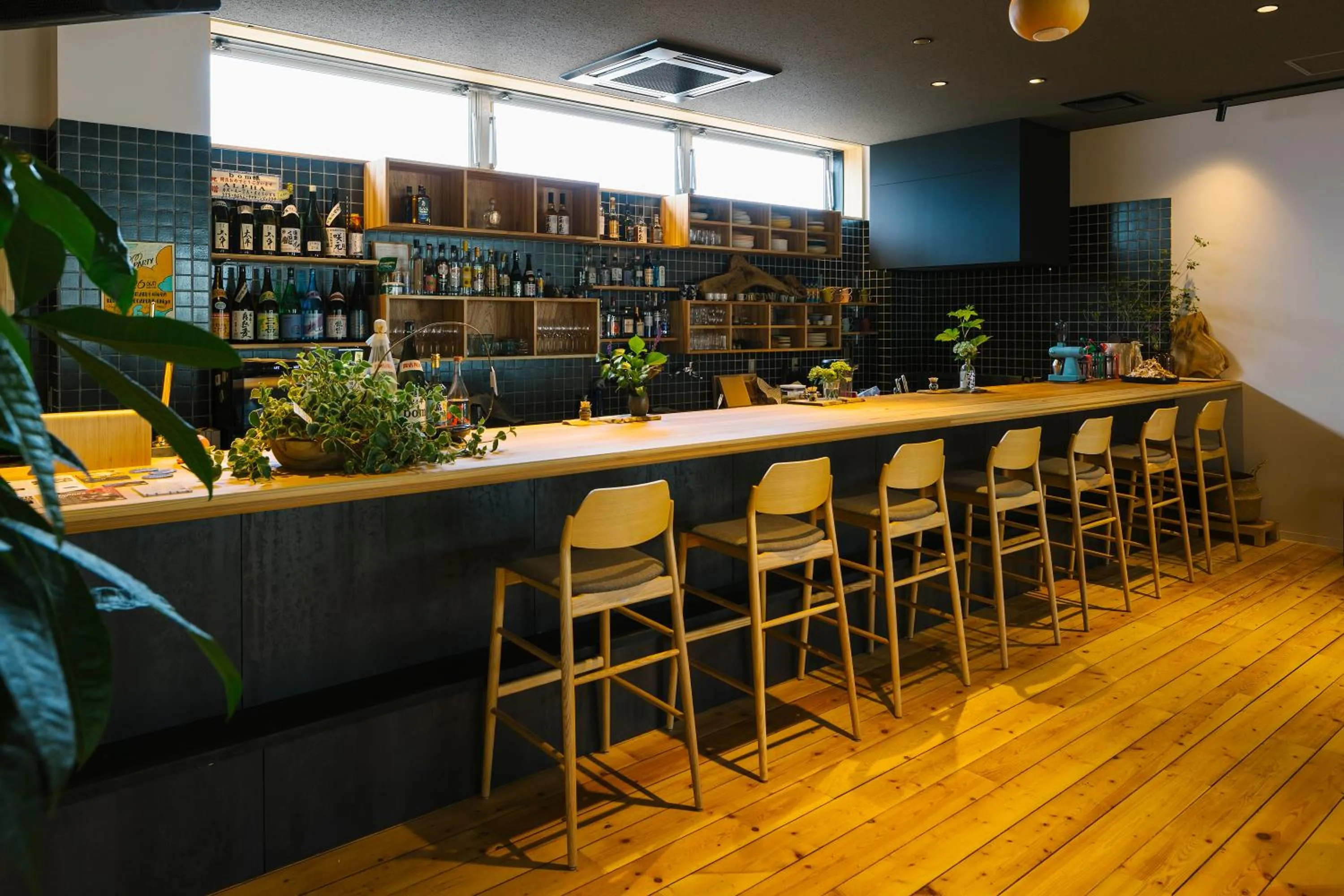 Lounge or bar in métisse stay
