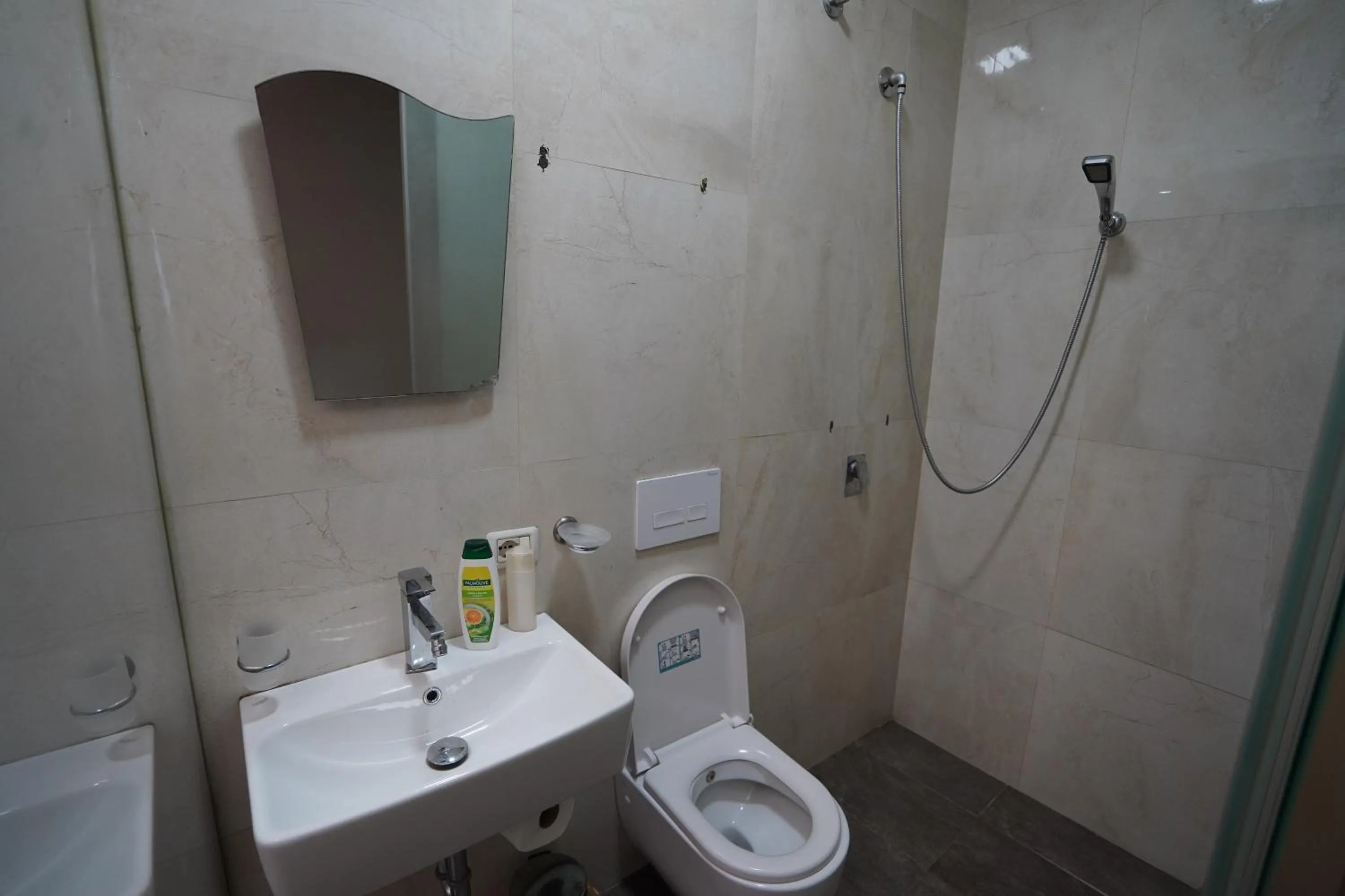 Toilet in Driti Central Hotel