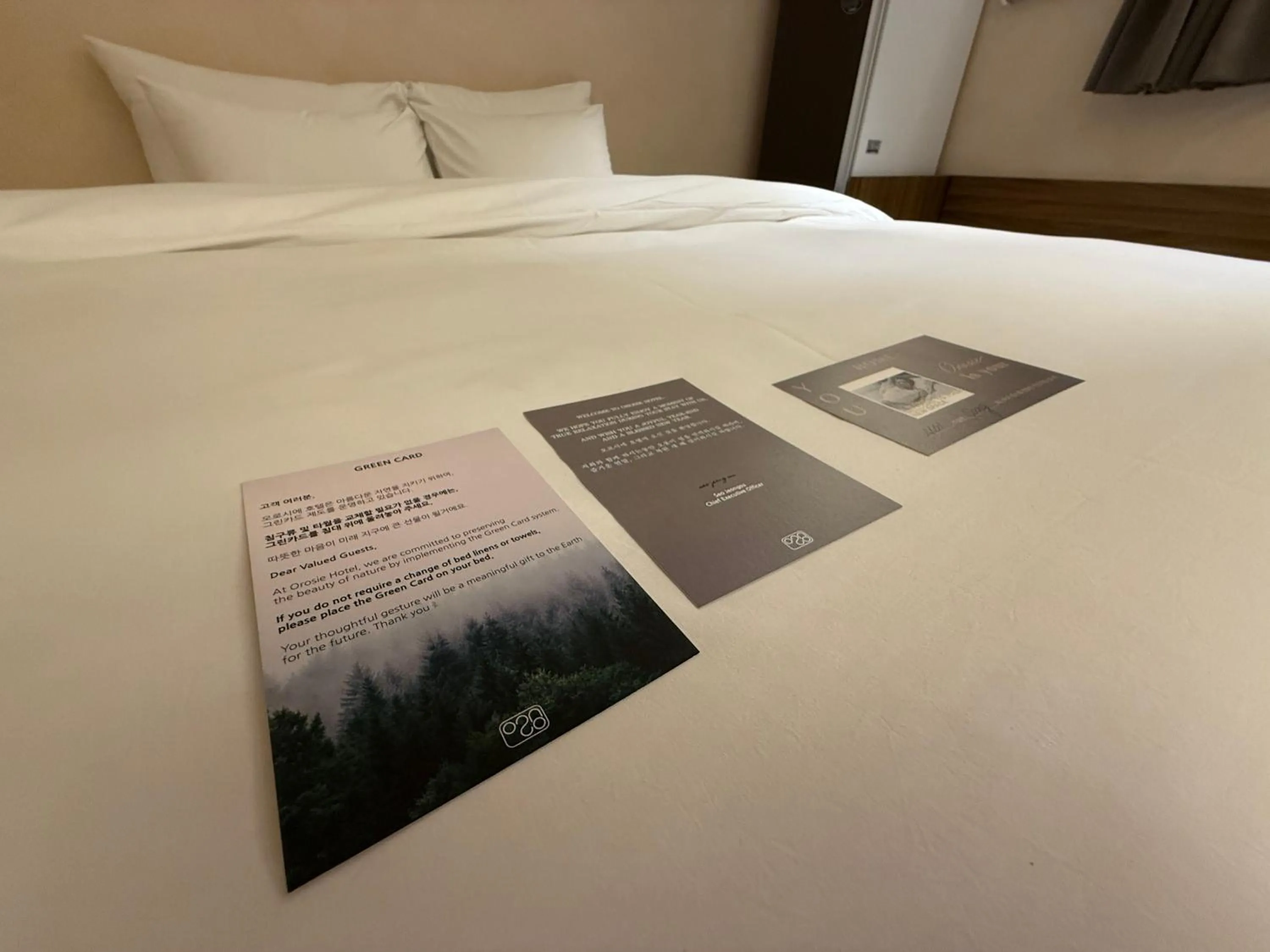 Bed in Jamsil Orosie Tourist Hotel