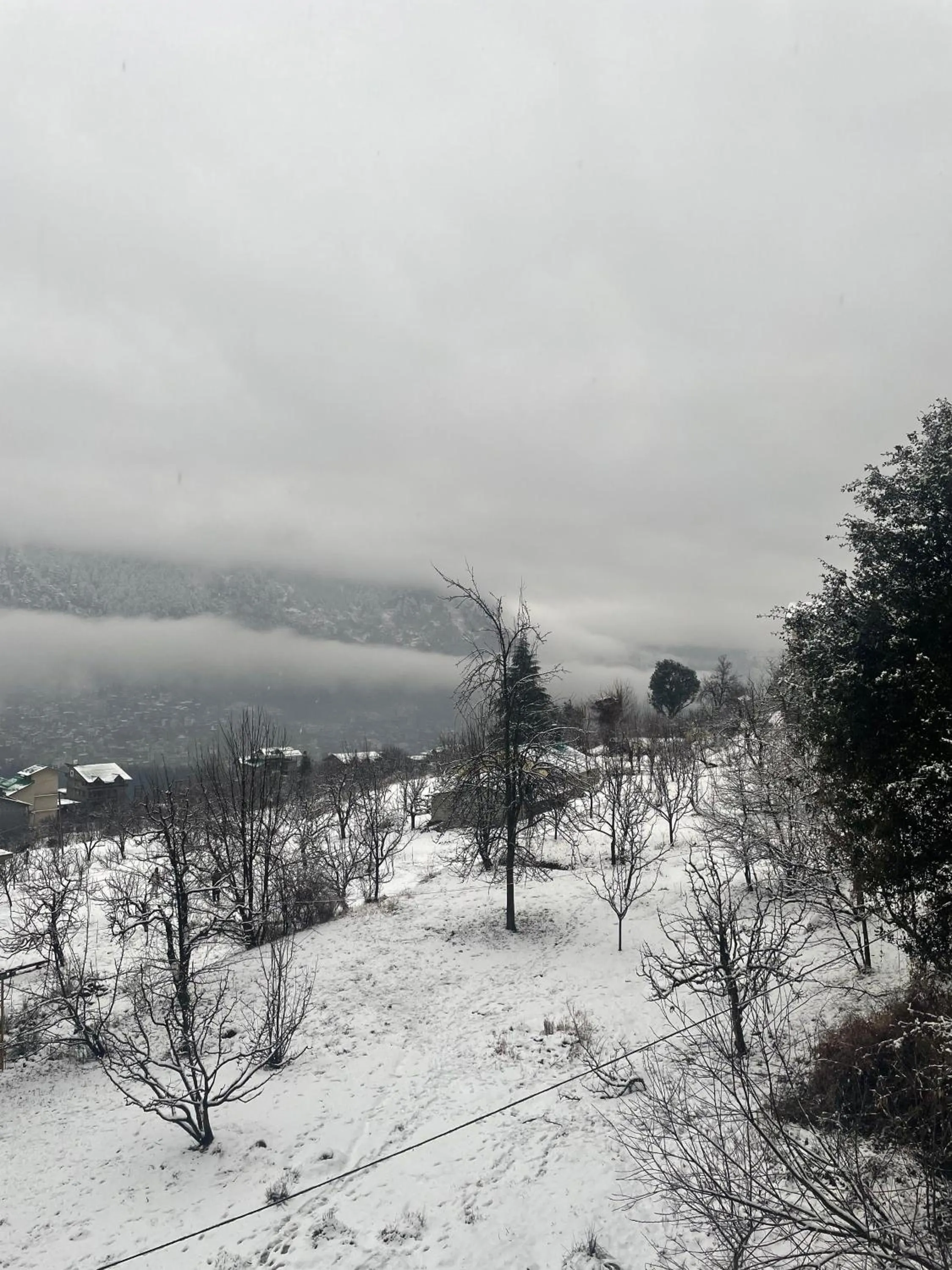 Mountain view in Hotel Cherry Manali