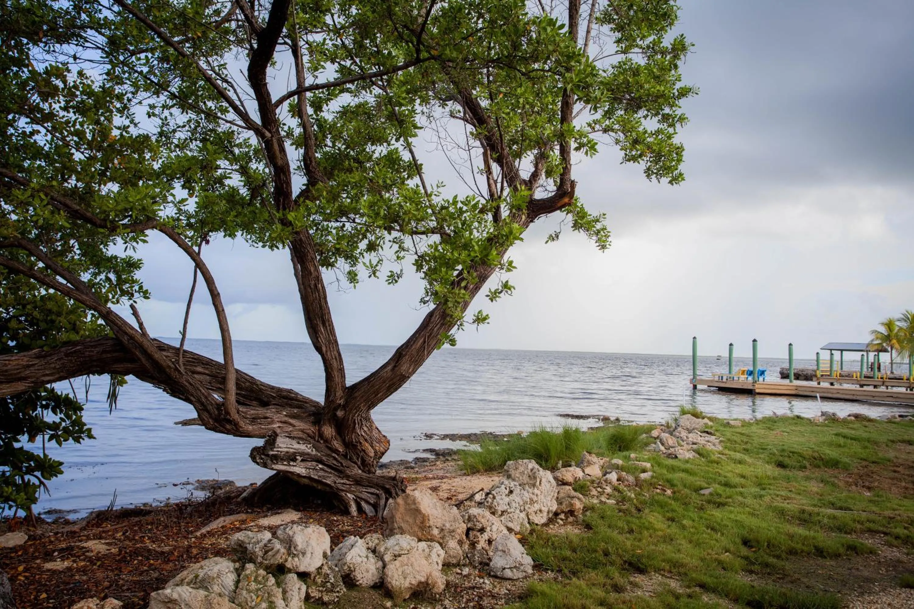 Natural landscape in Kings Kamp