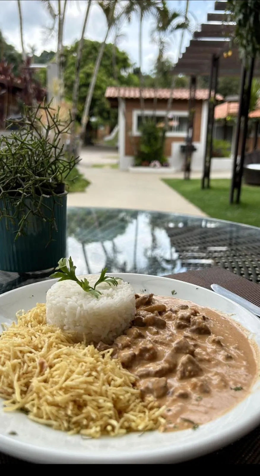 Food and drinks in Vale das Orquídeas Pousada