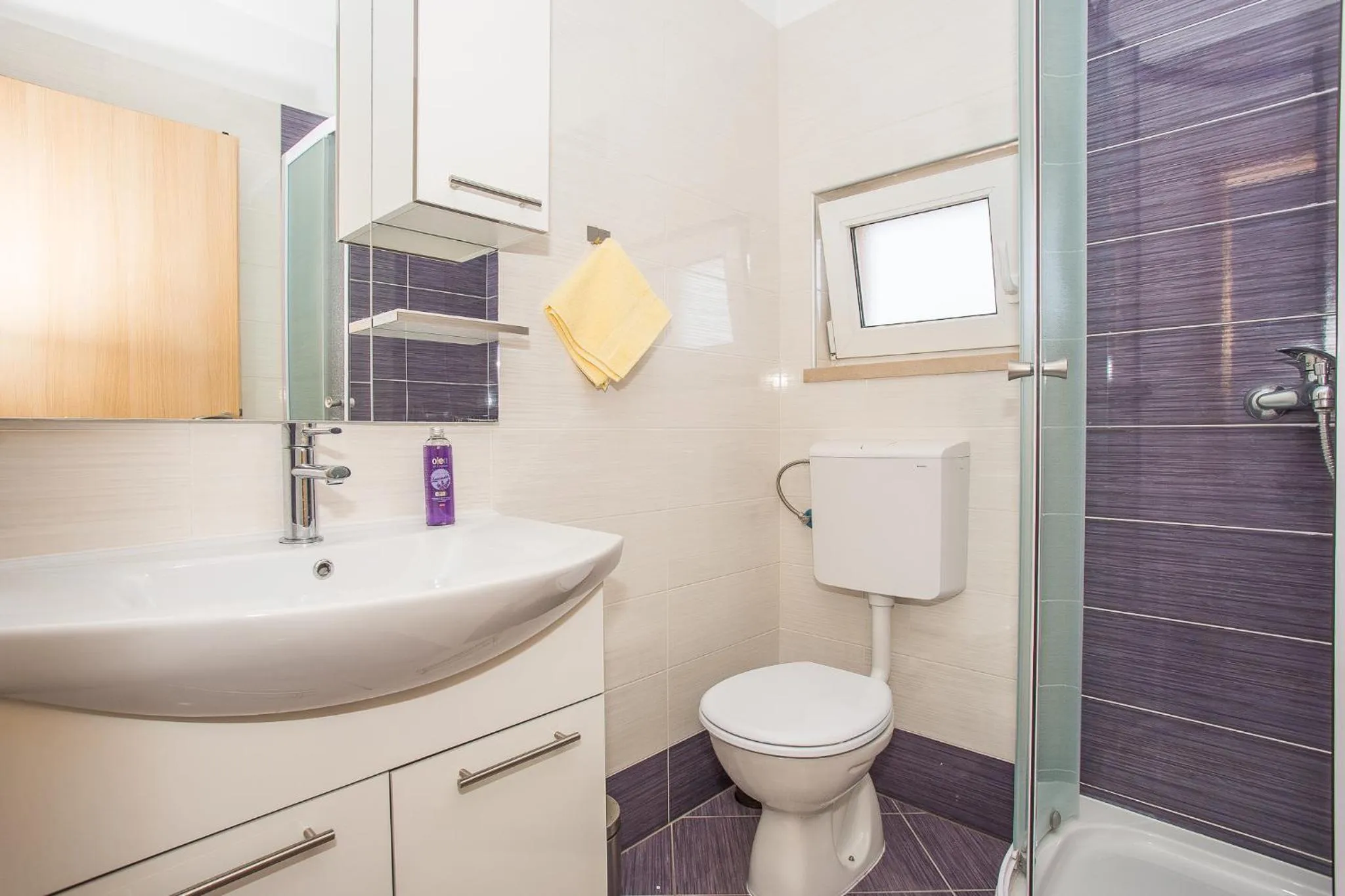 Shower in Apartmani Ante Nobilo