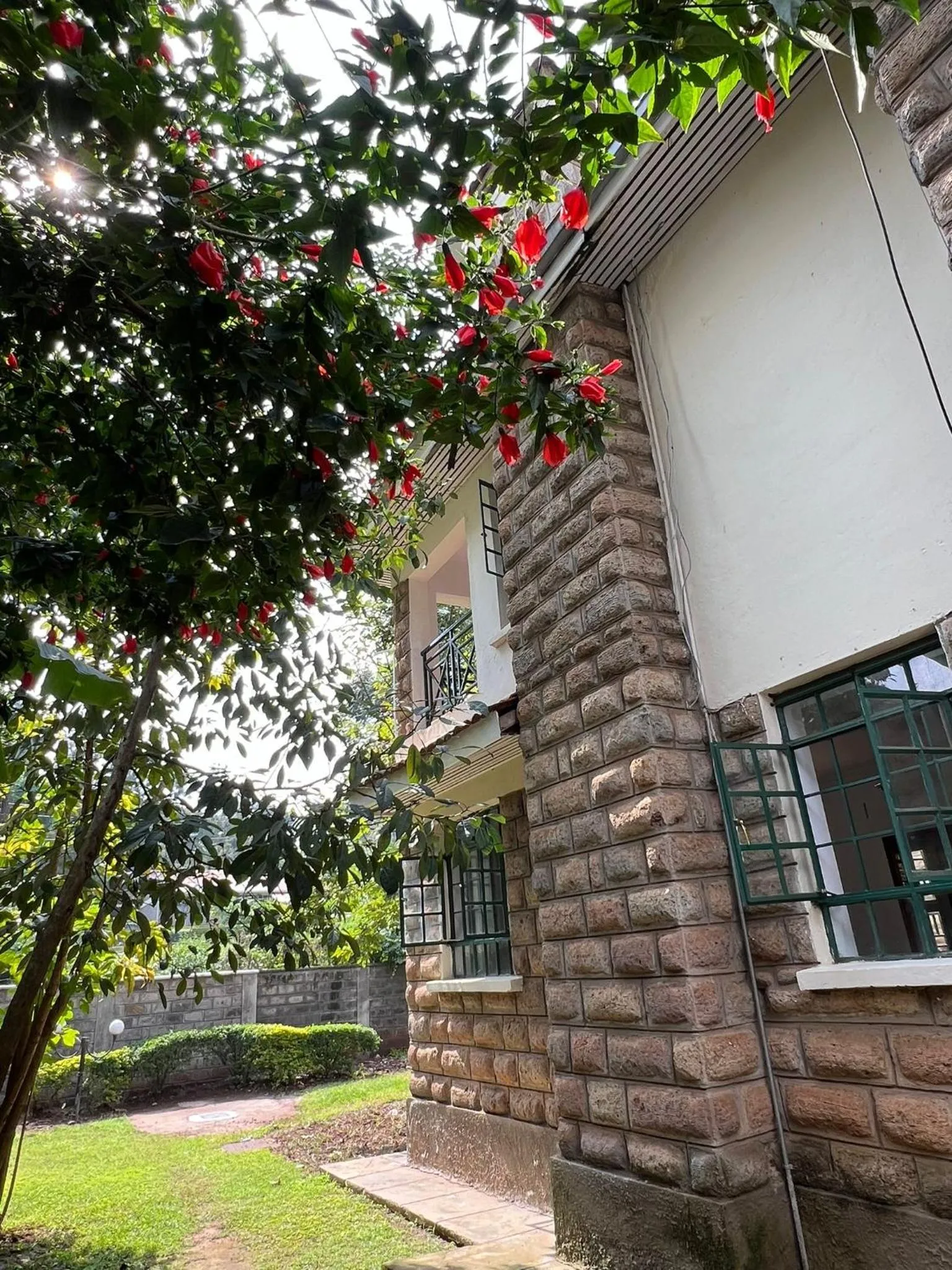 The Library Hostel