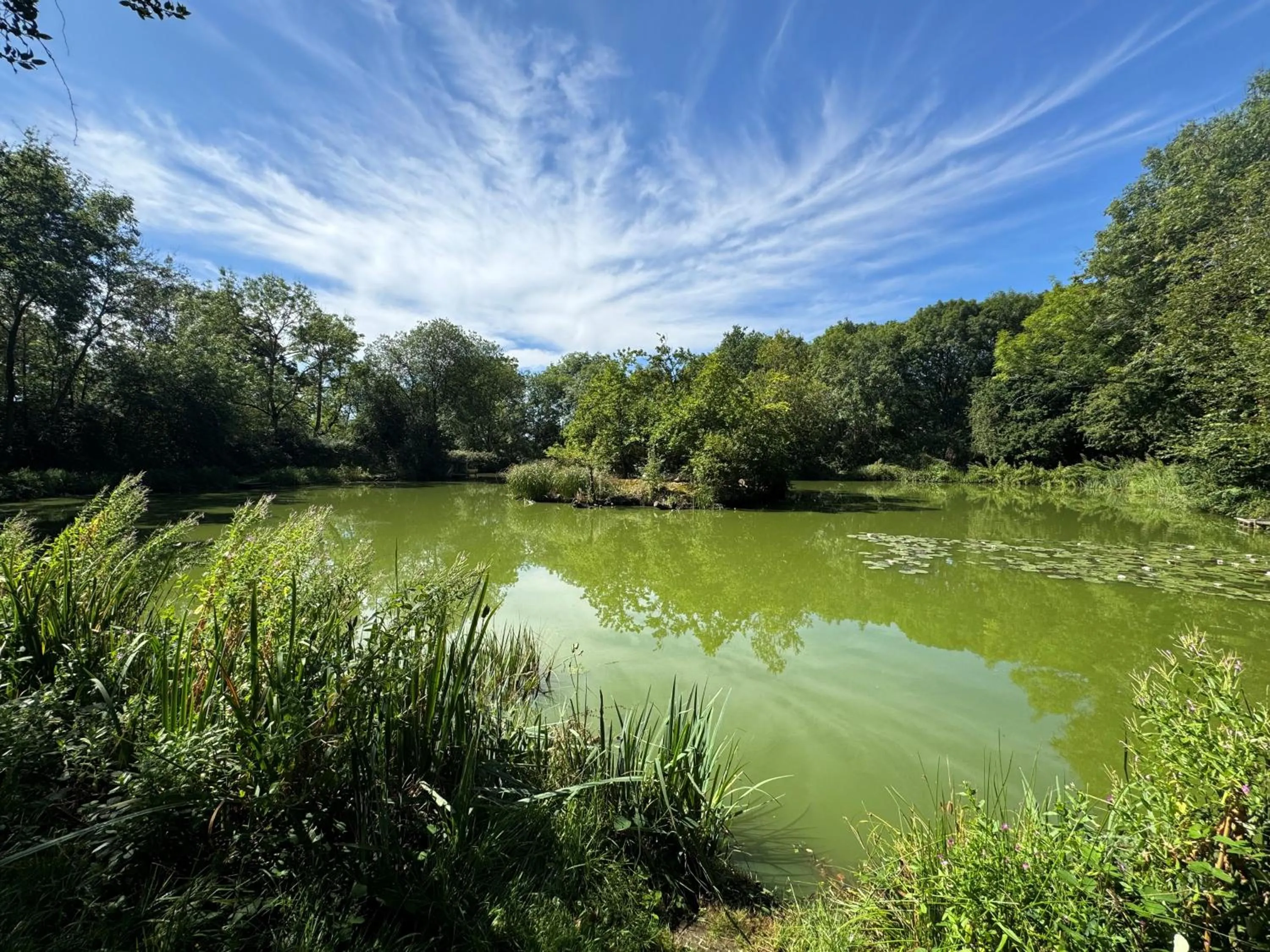 Fishing in Grovefield House Hotel By Uno
