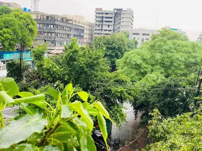 Alpine Hotel Alpine Hotel