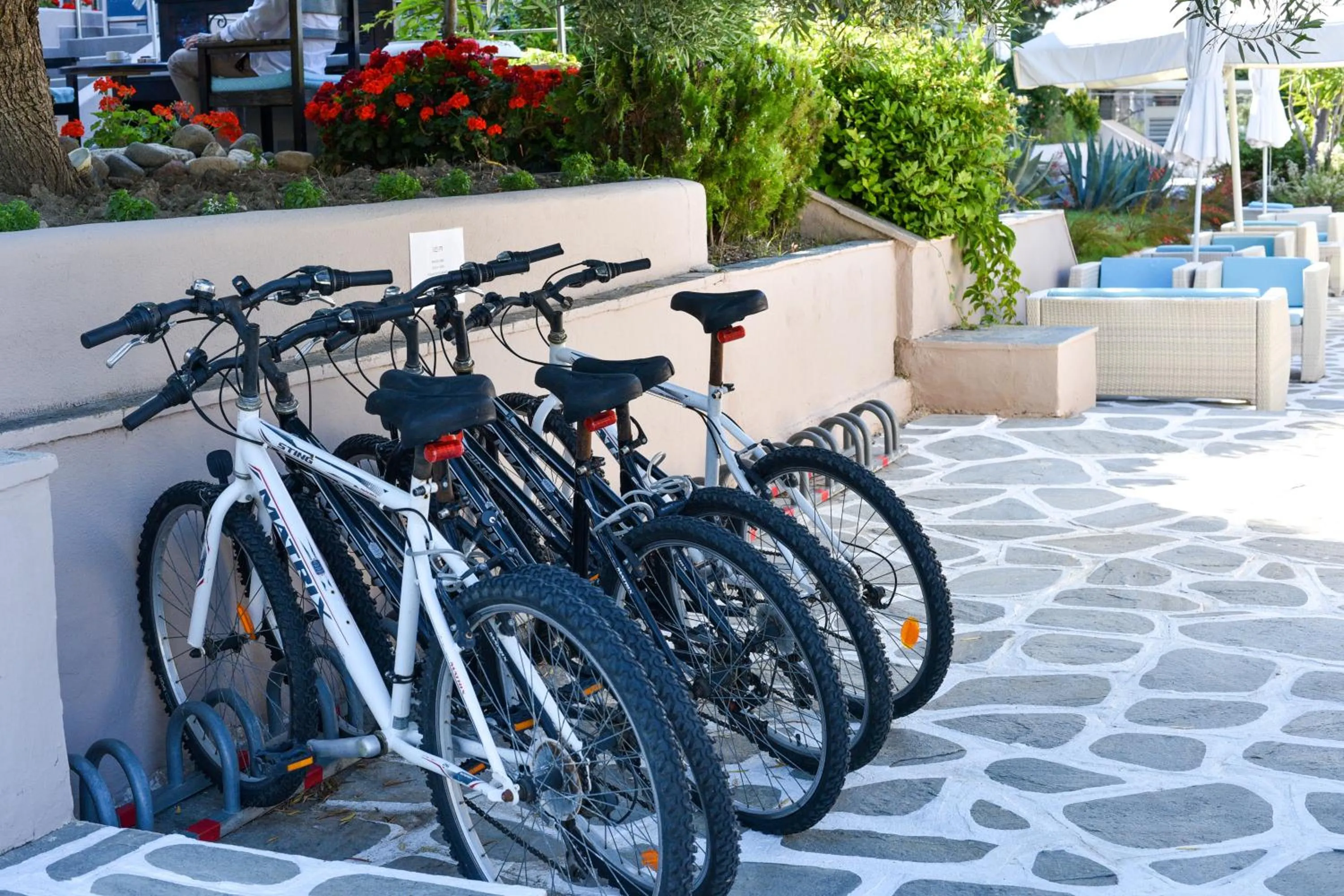 Activities in Acrotel Elea Beach