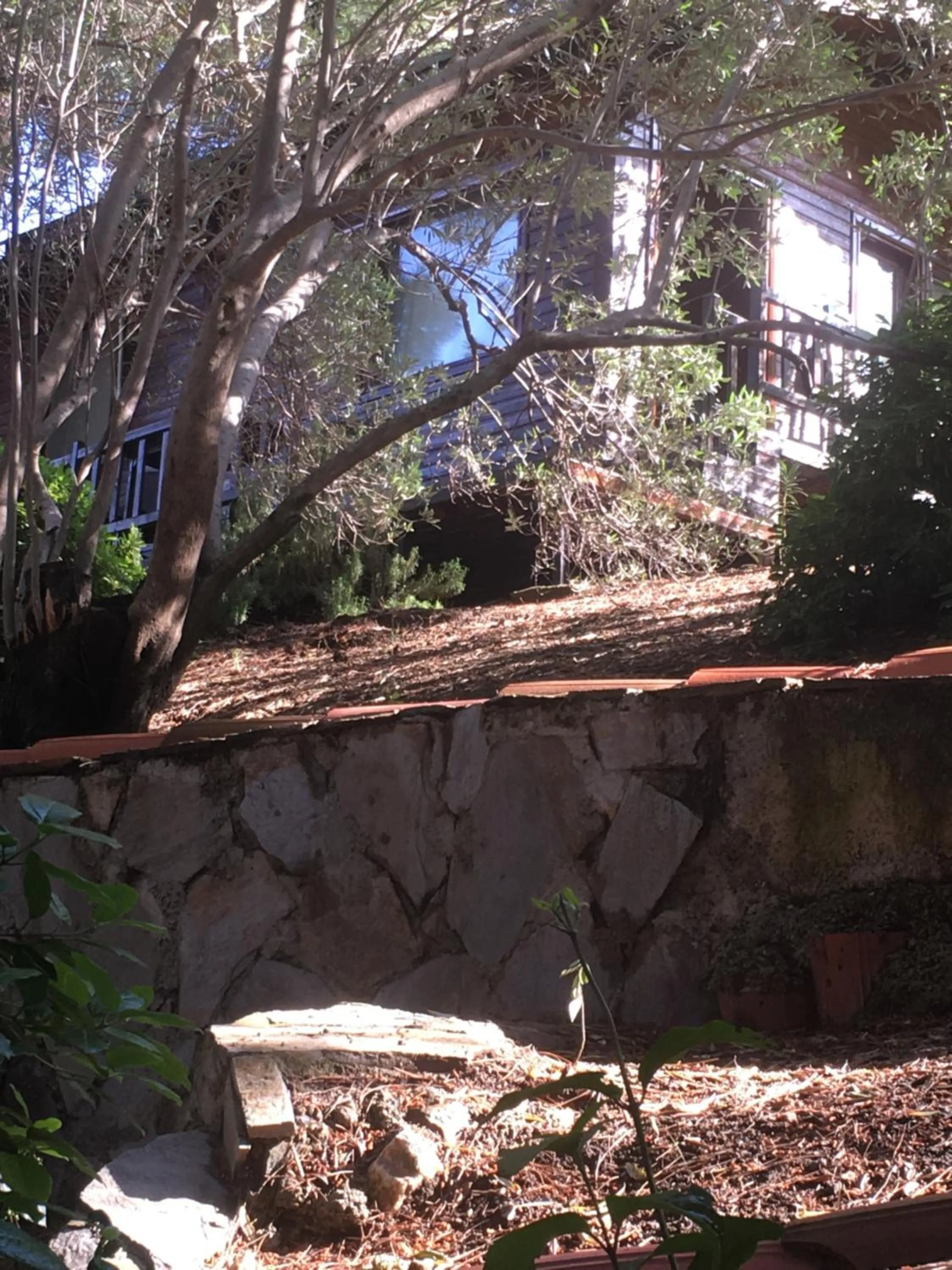 Garden view in Dusler Vadisi Kazdaglari