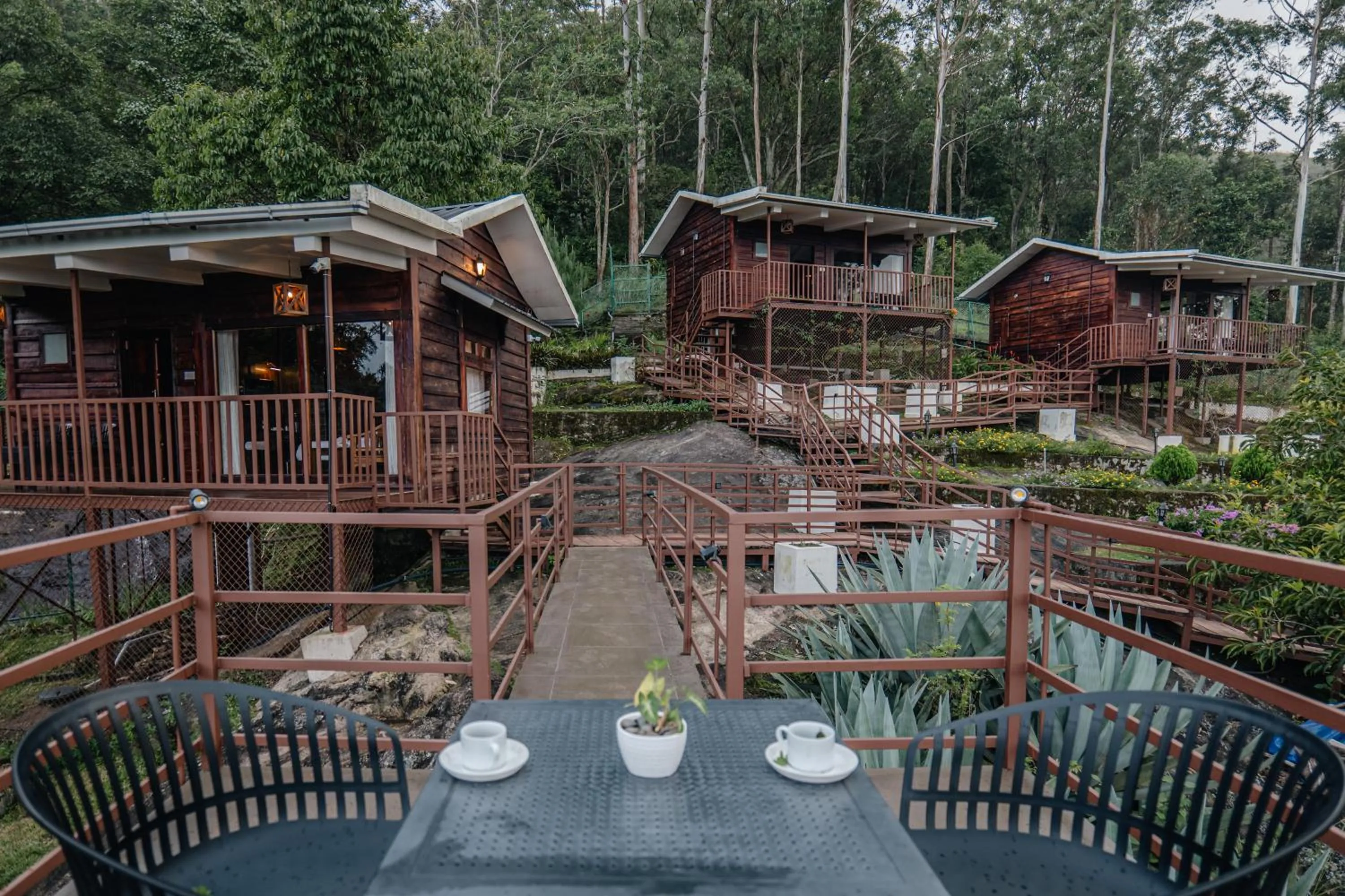 Hilltop Munnar by Fracspace