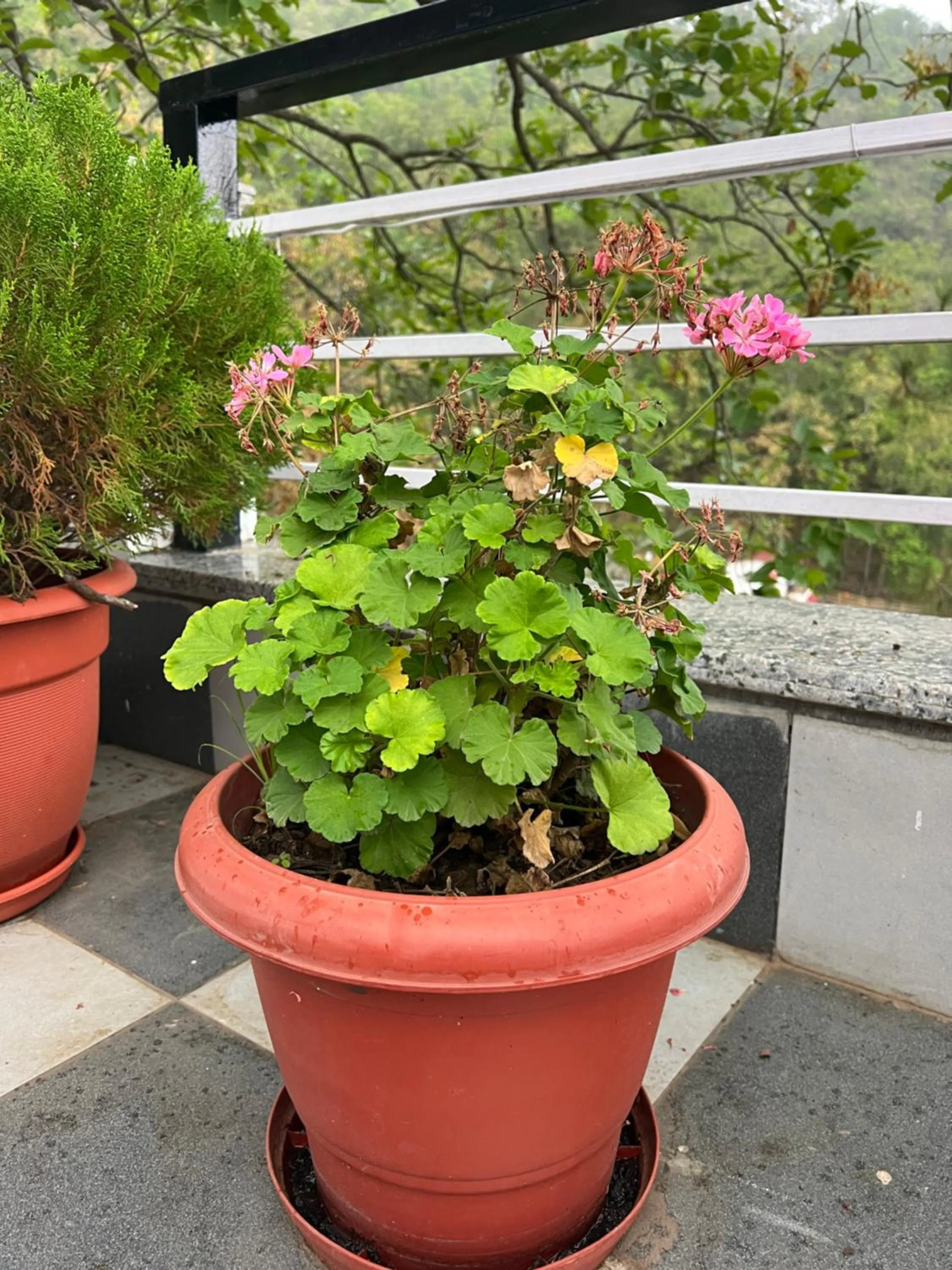 View (from property/room) in The Shalam Resort श्रीकृष्ण शरणं मम