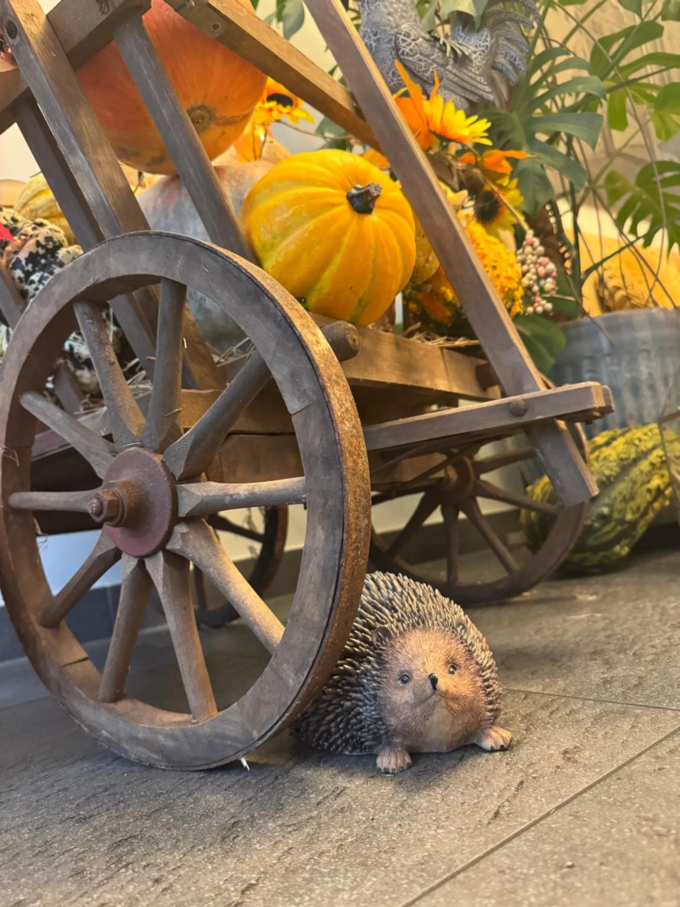Decorative detail in Hotel Schwibbogen Altstadt & Apartments