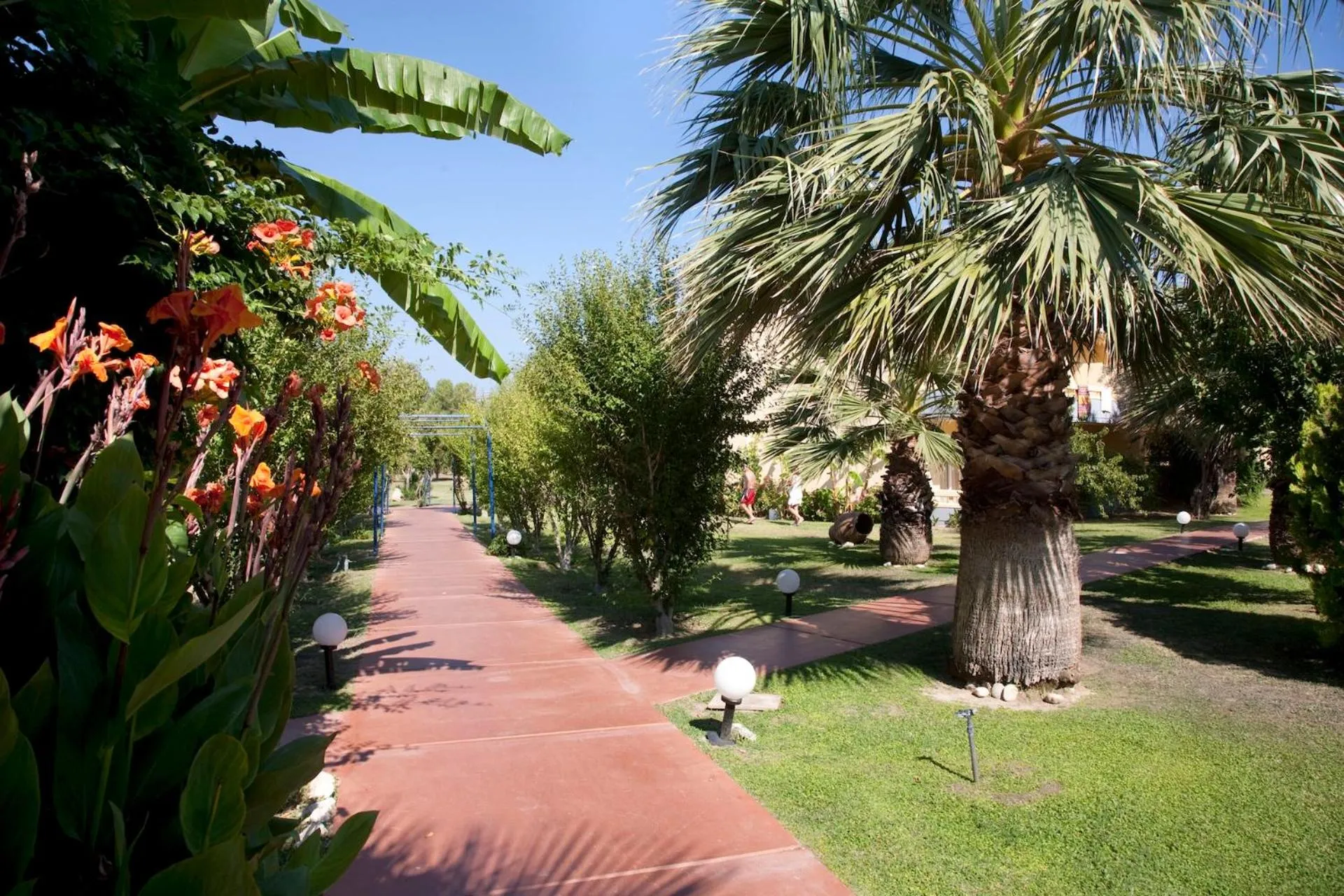 Spring in Golden Odyssey