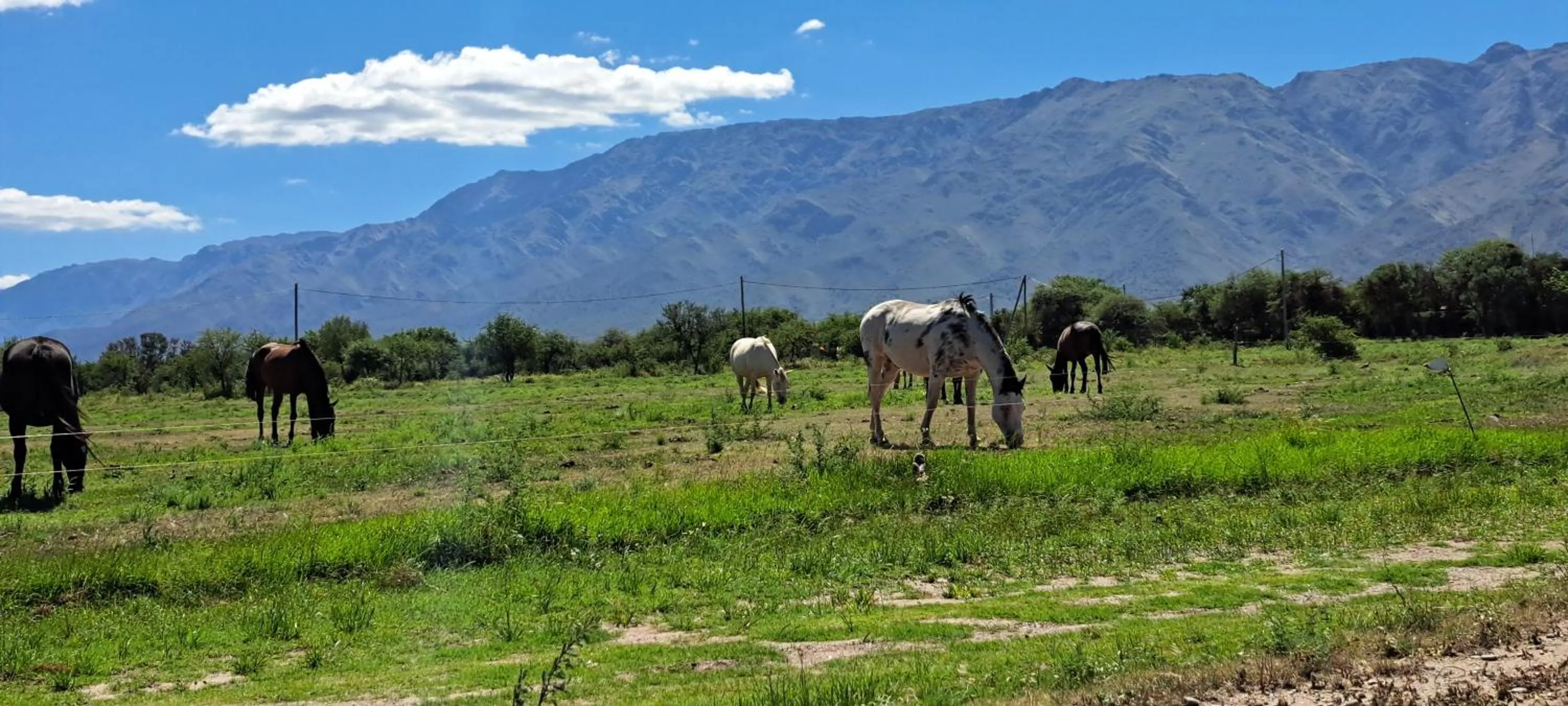Mountain view in Ayres del Golf Posada-Restó