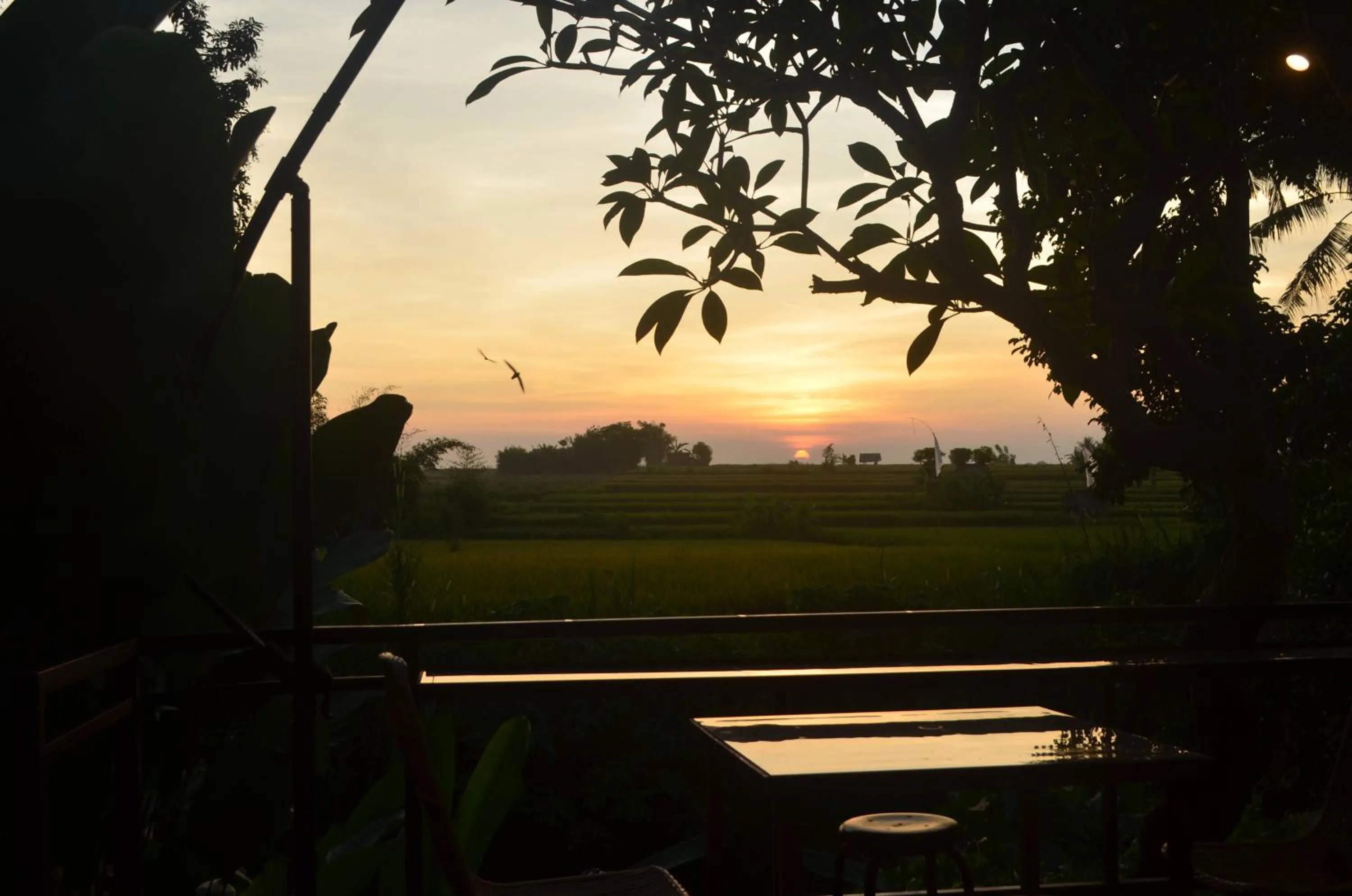 Balcony/Terrace in Sunset Shade Villa
