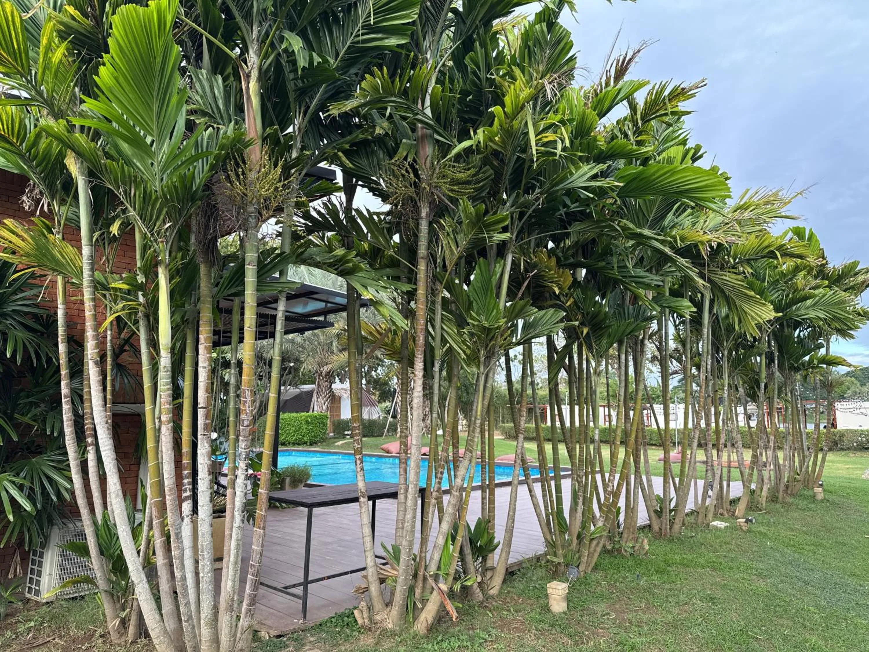 Natural landscape in The Campster Kanchanaburi