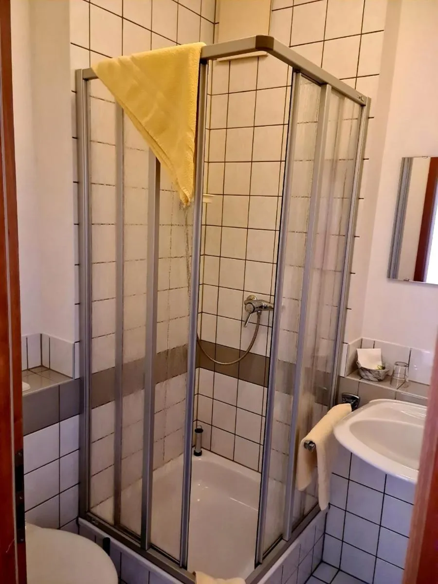 Bathroom in Logis Hotel Stadt Neustadt
