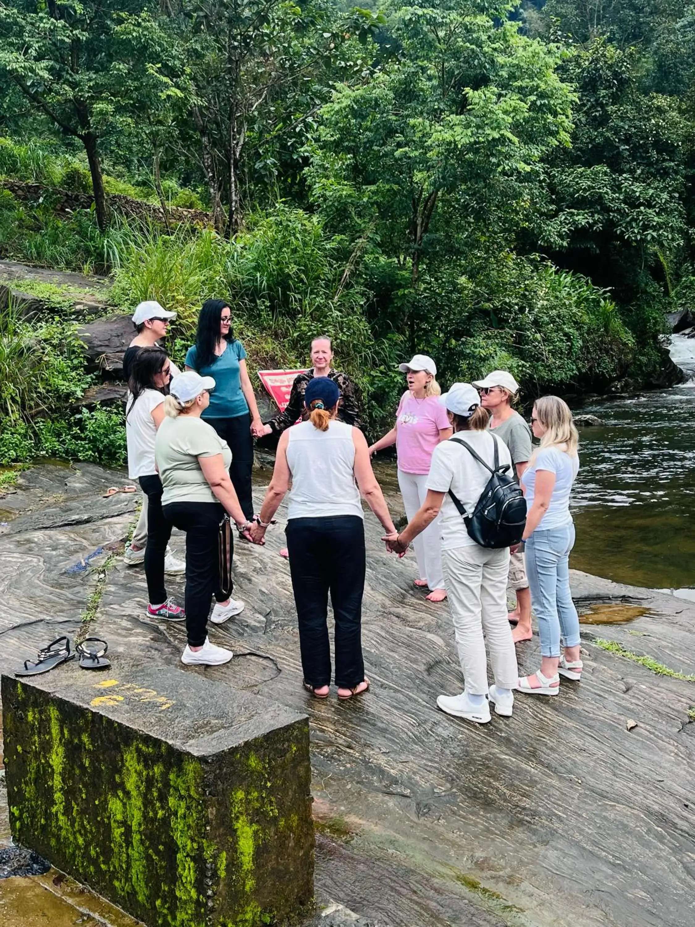 Forestscape Resort Munnar Forestscape Resort Munnar