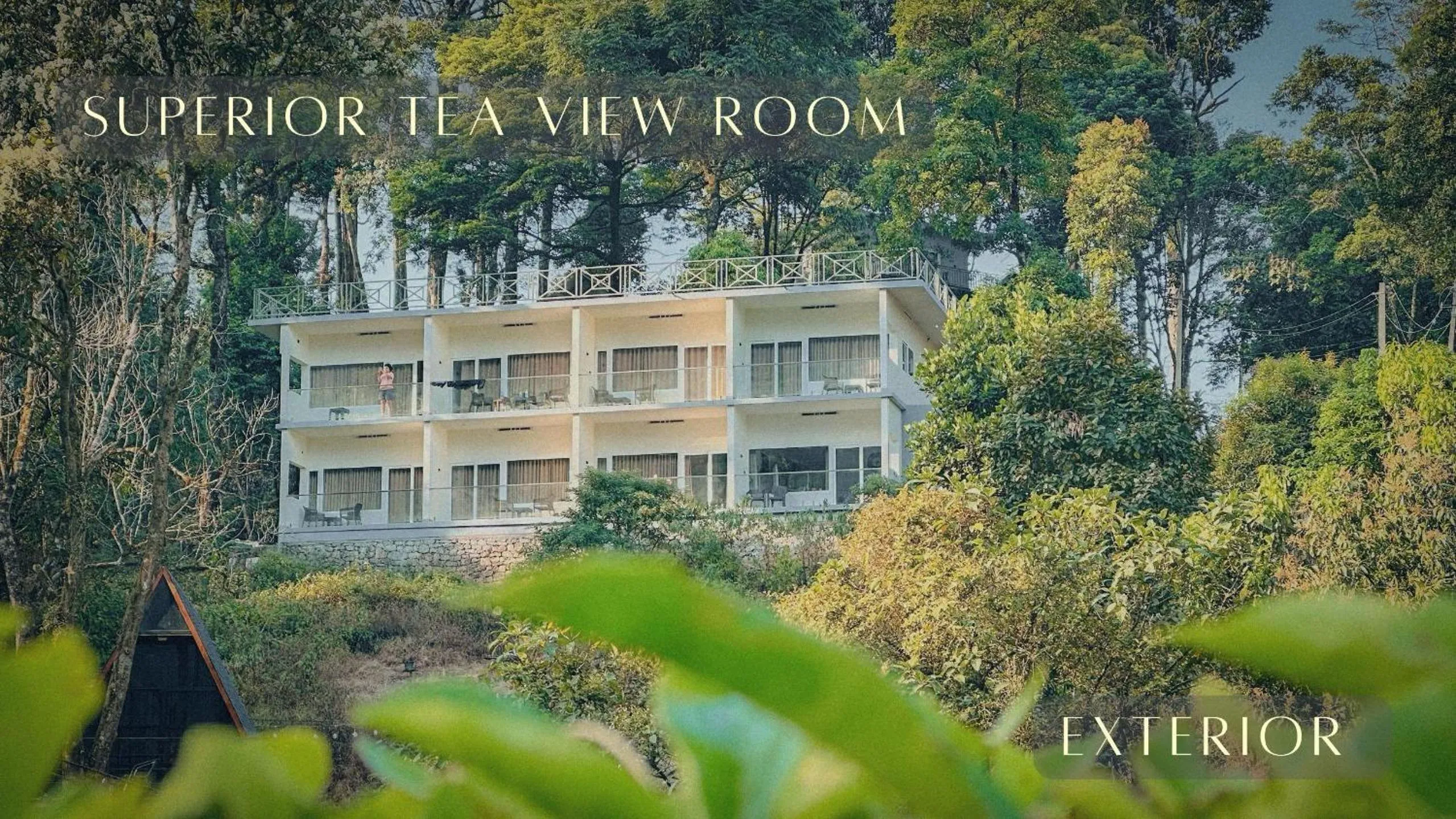 Property building in Forestscape Resort Munnar