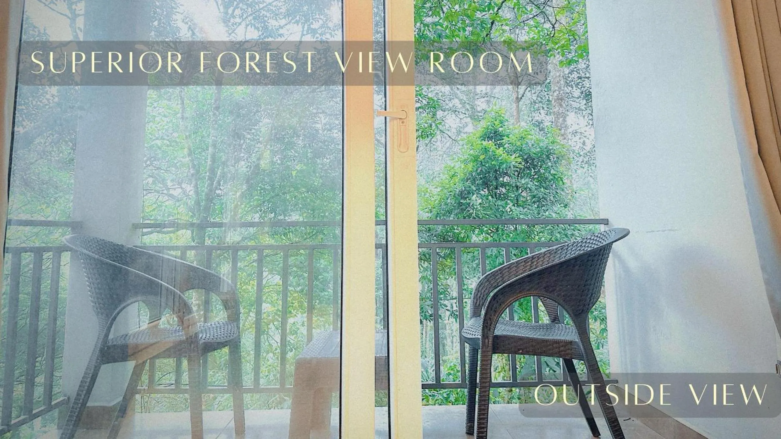 Patio in Forestscape Resort Munnar