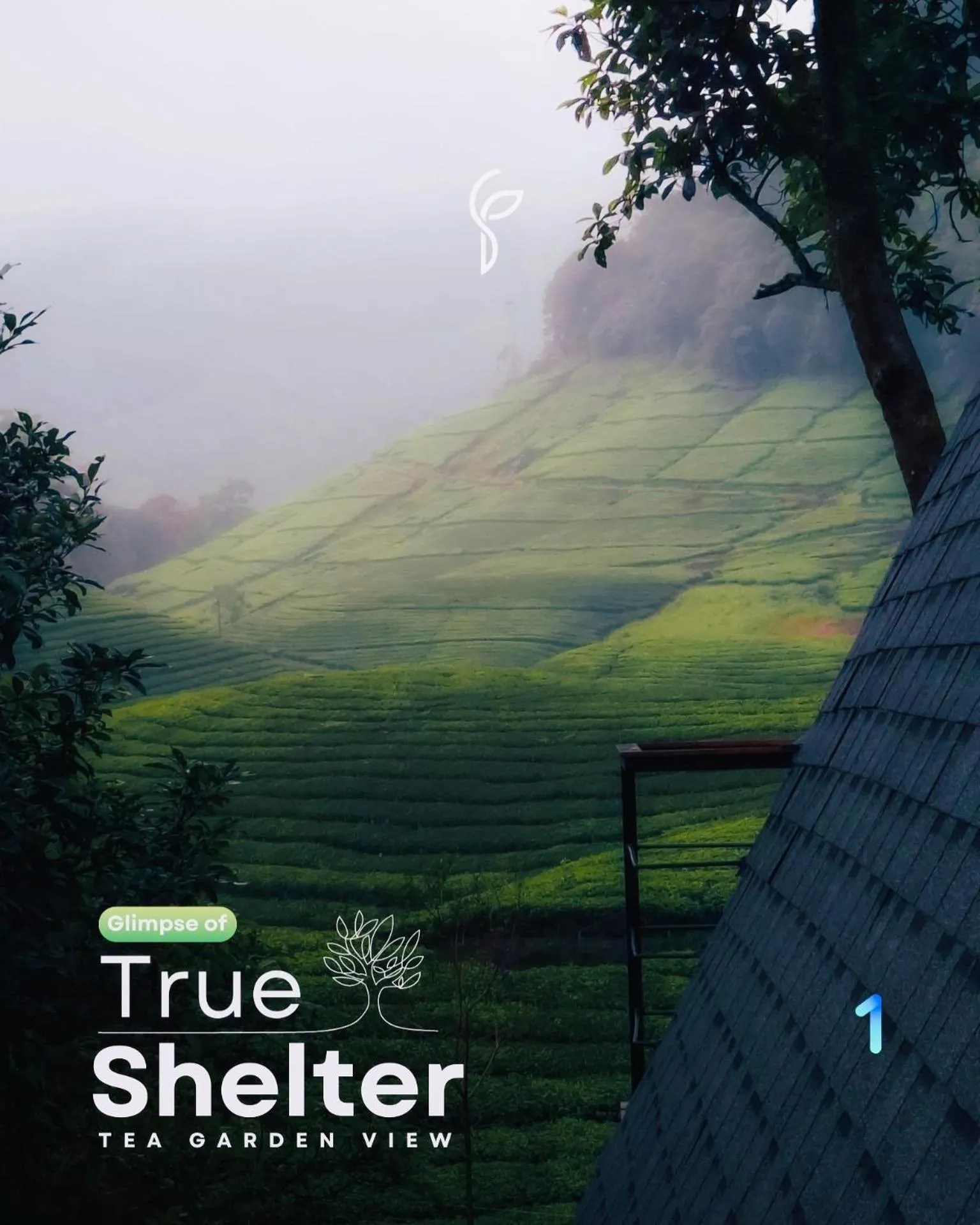 Natural landscape in Forestscape Resort Munnar