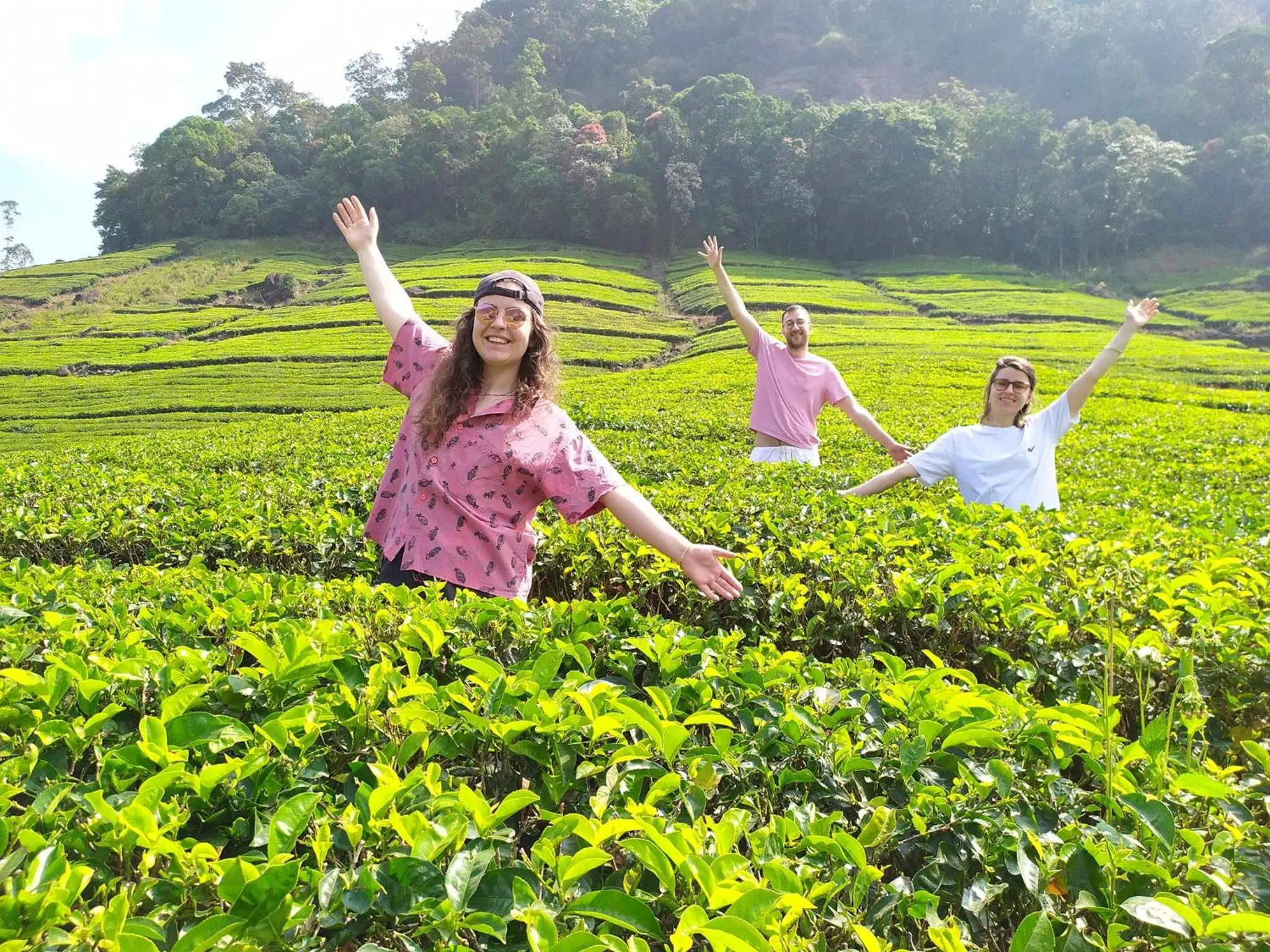View (from property/room) in Forestscape Resort Munnar