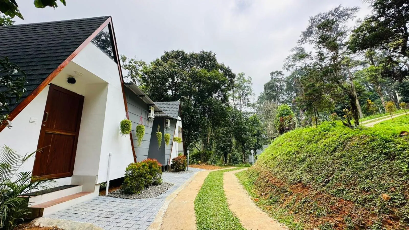 Natural landscape in Forestscape Resort Munnar