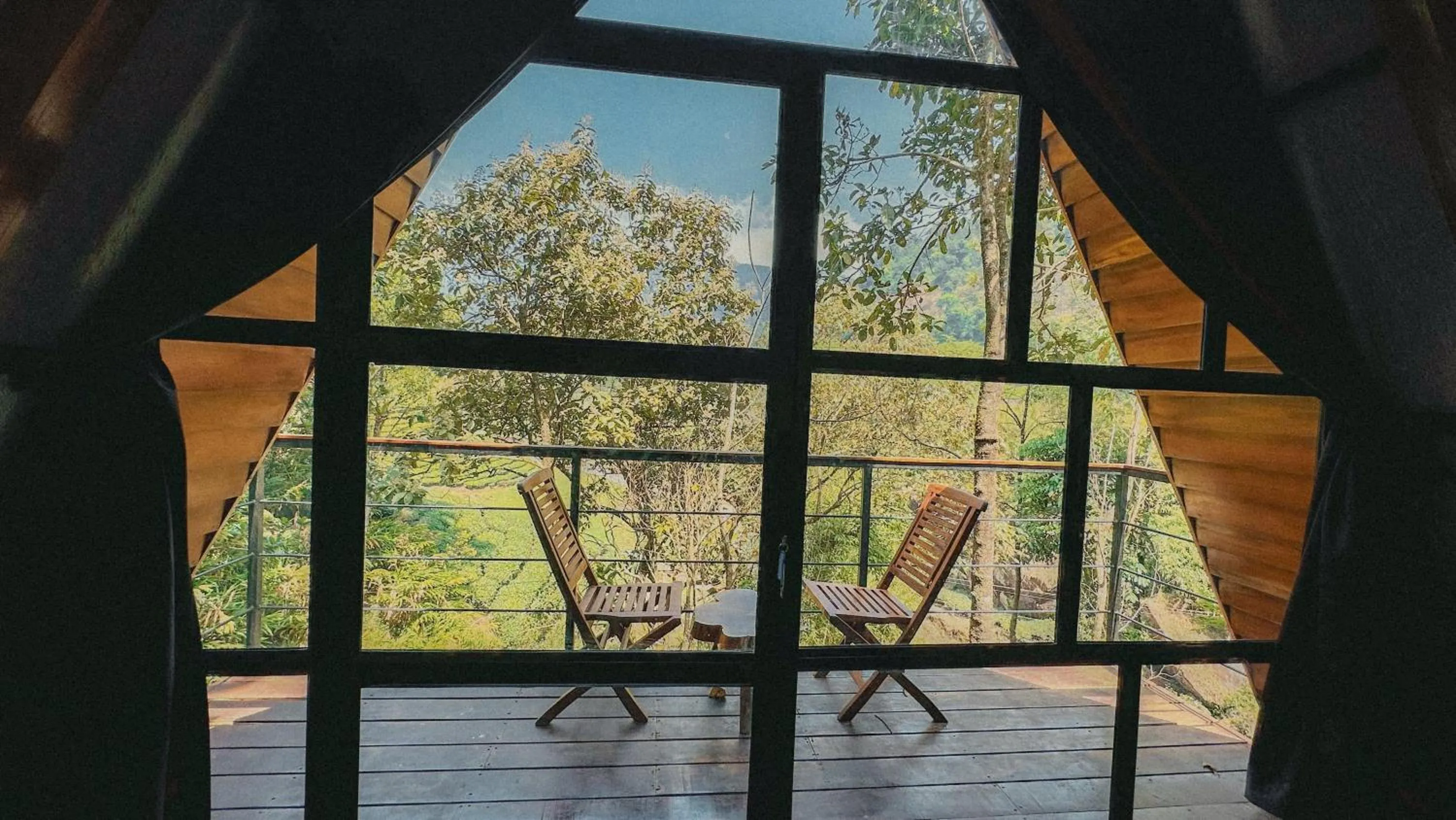 View (from property/room) in Forestscape Resort Munnar