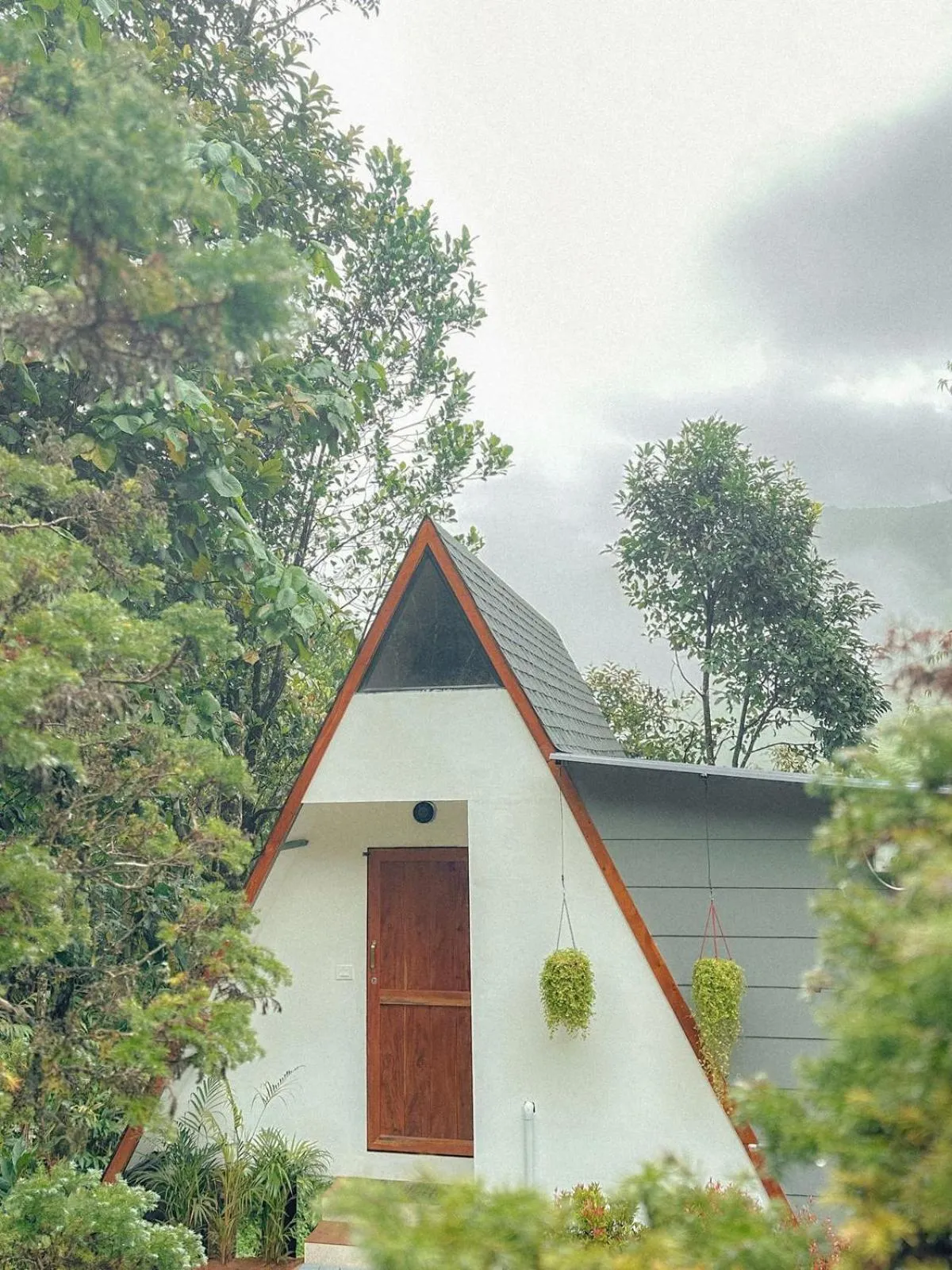 Property building in Forestscape Resort Munnar