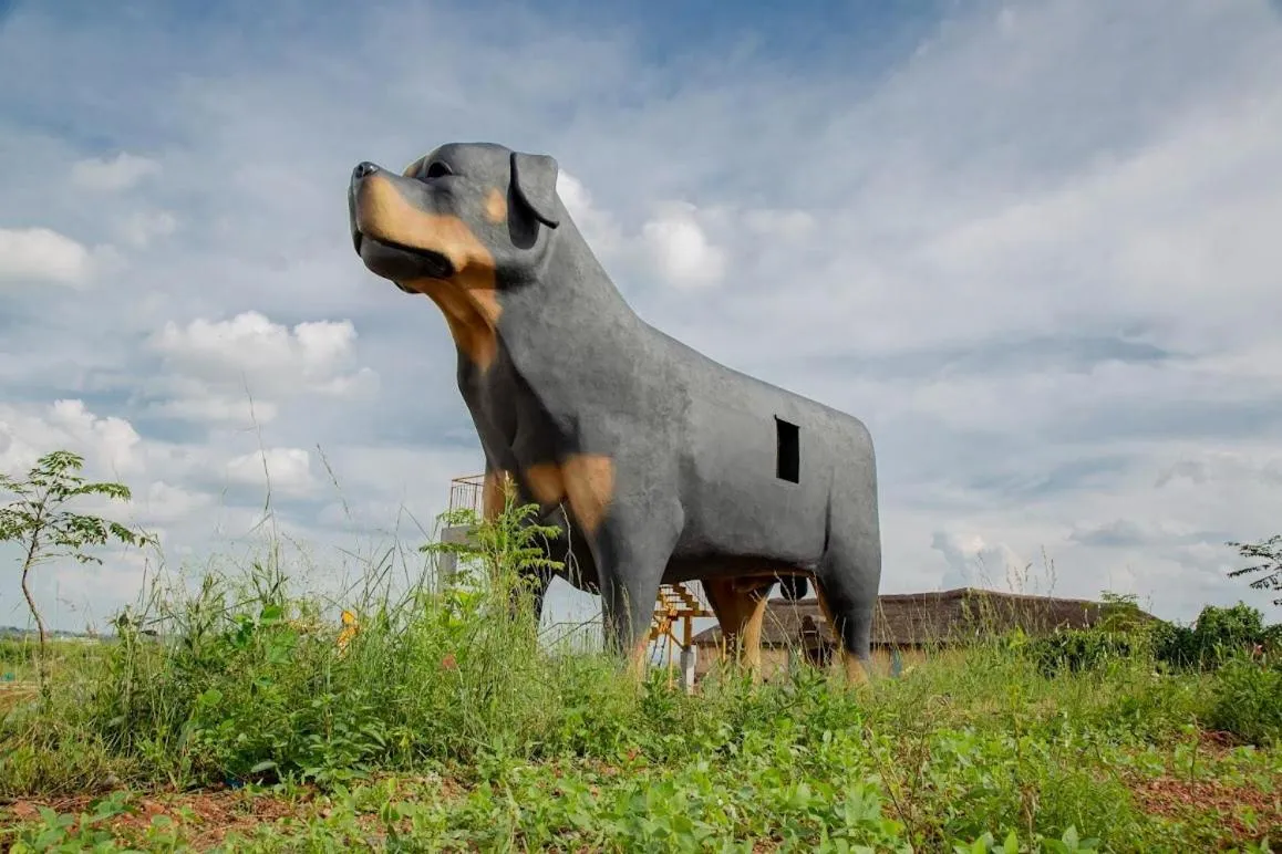 View (from property/room) in Champions Ranch