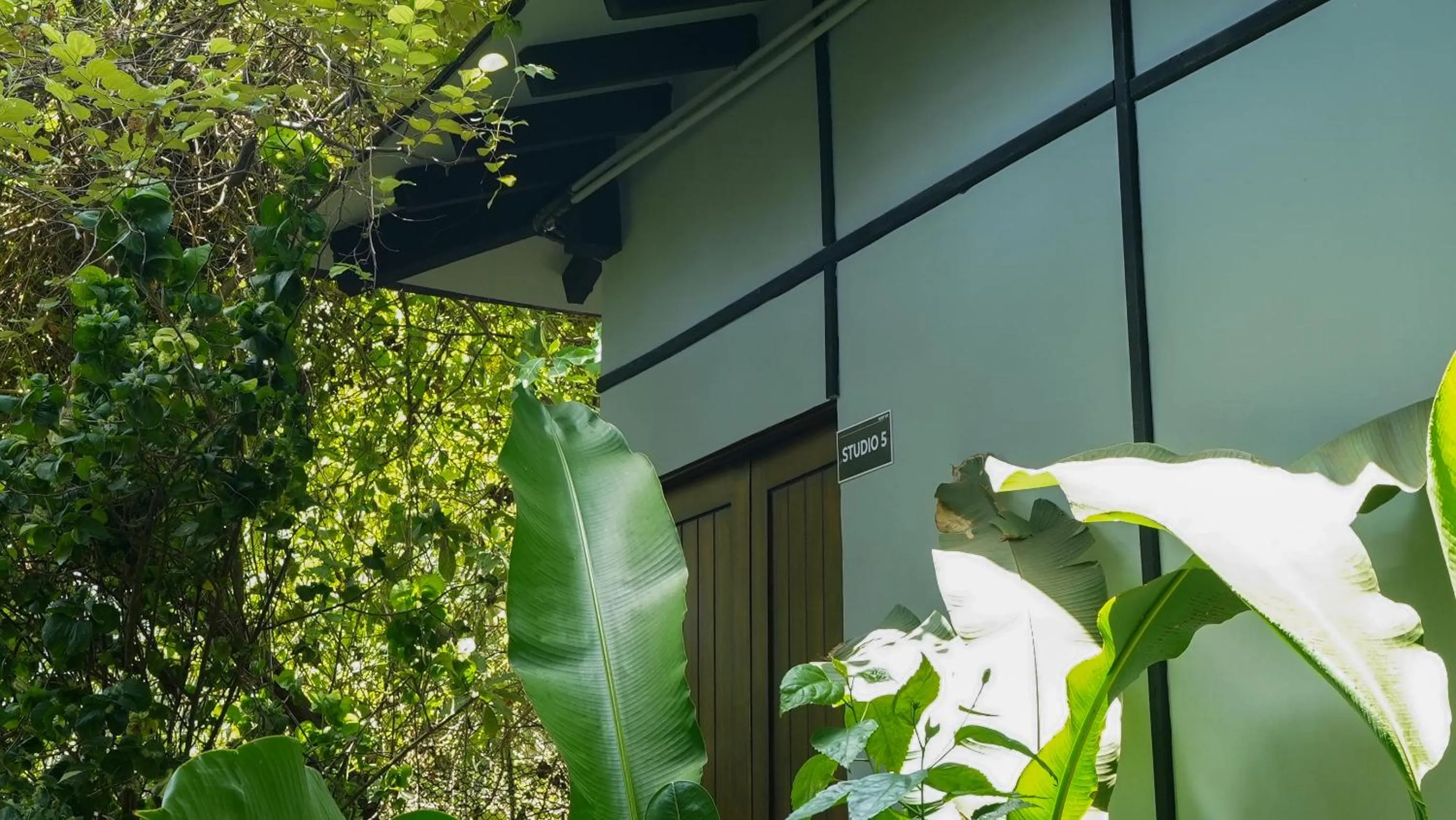 Garden in Sort By Stays, Grand Peddem, Anjuna