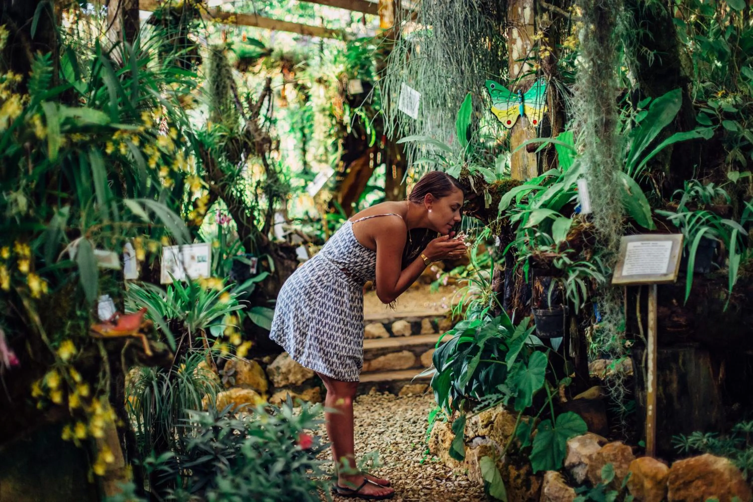 Natural landscape in Ian Anderson Caves Branch Jungle Lodge