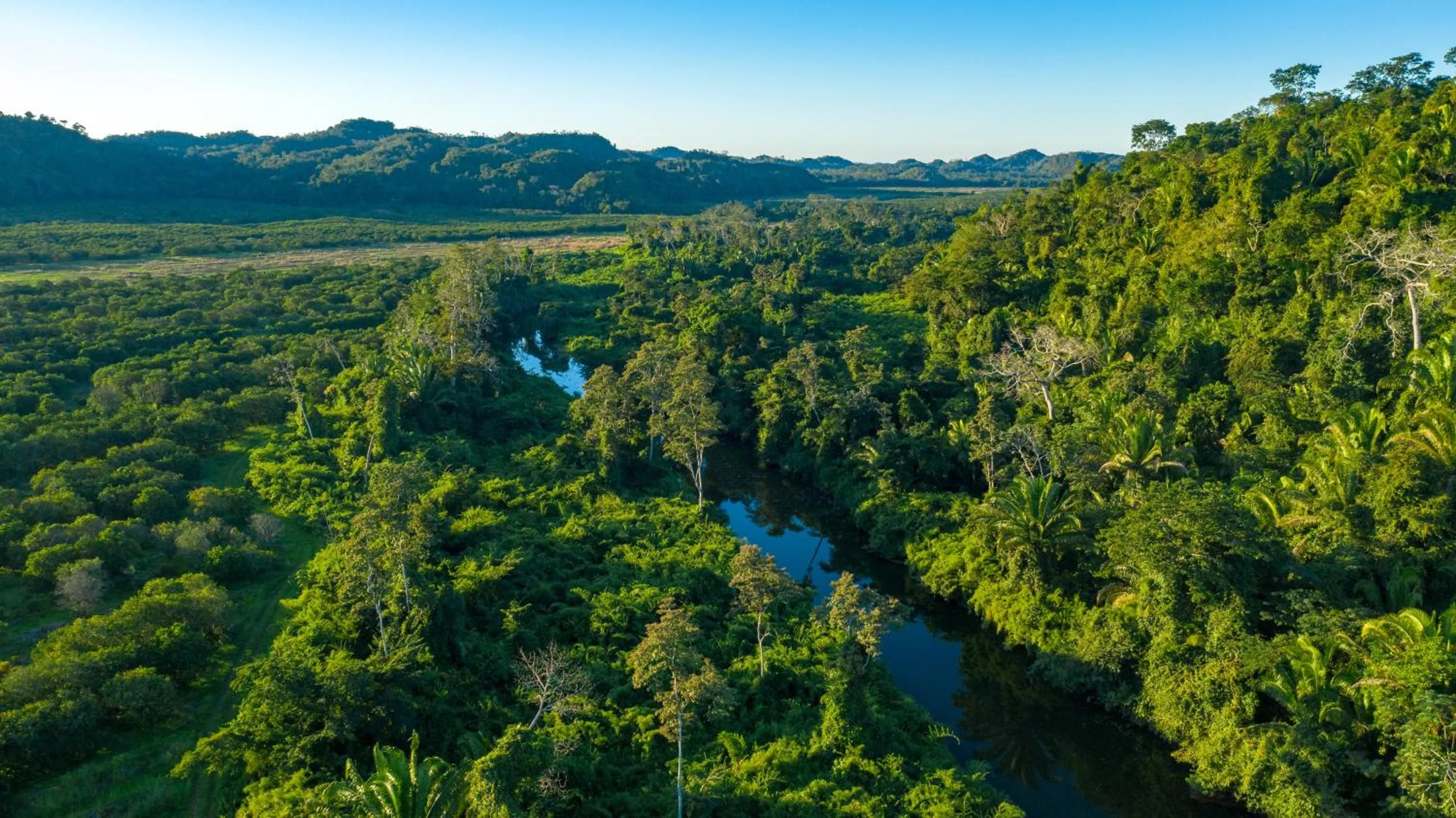 Bird's eye view in Ian Anderson Caves Branch Jungle Lodge