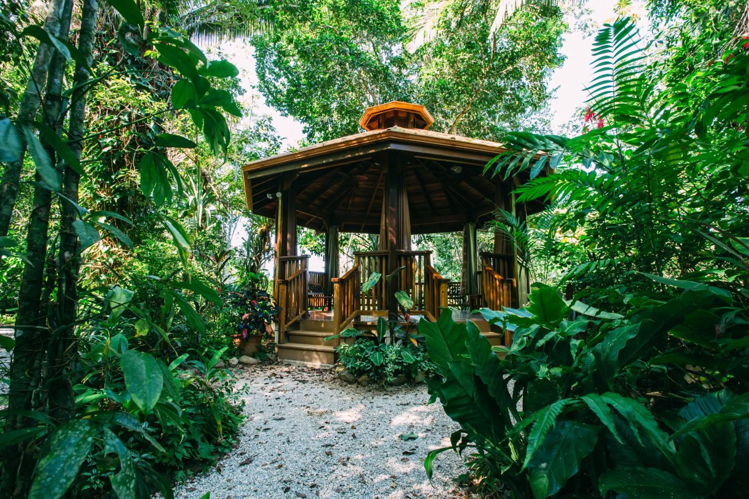 Ian Anderson Caves Branch Jungle Lodge