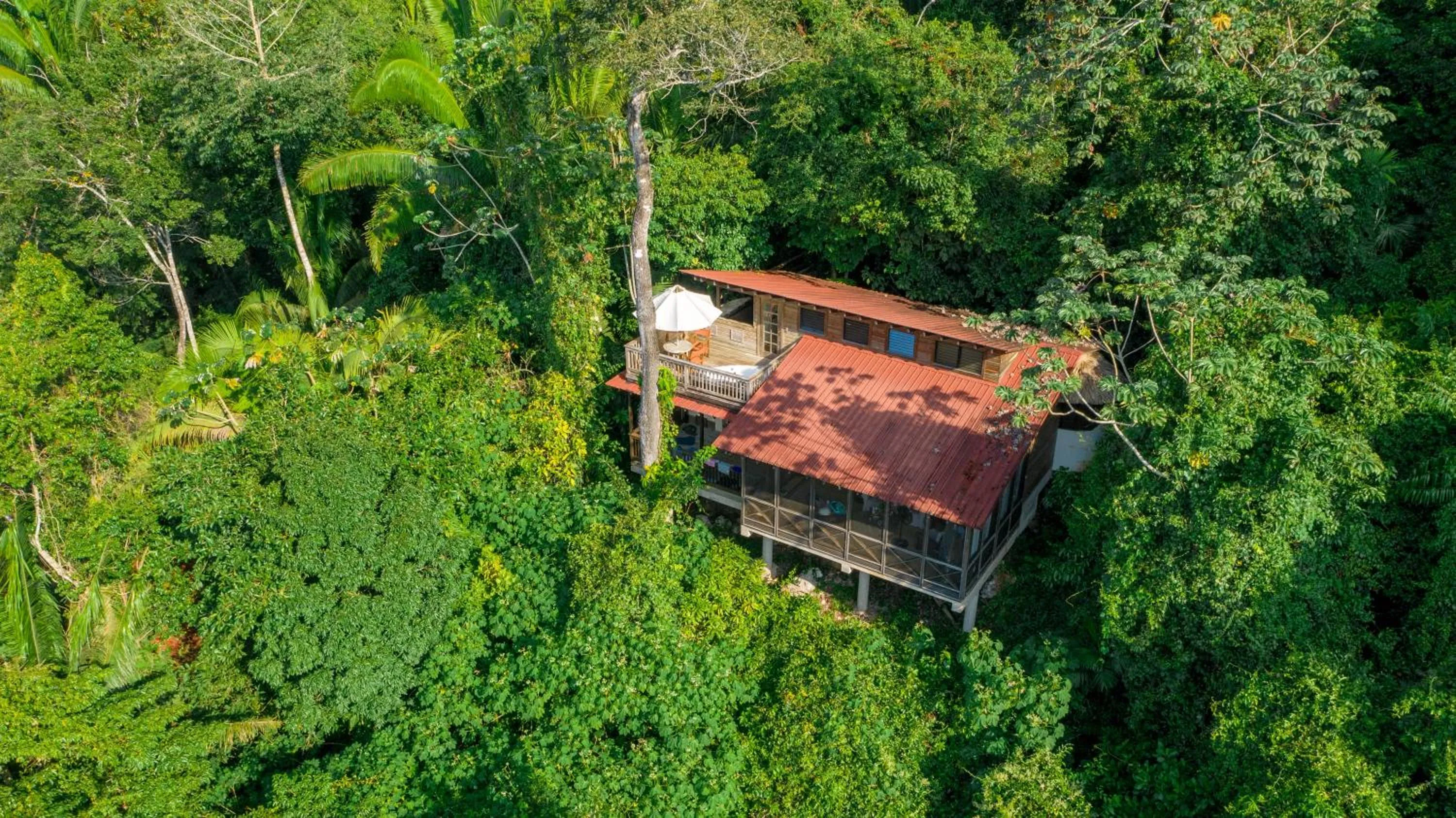 Property building in Ian Anderson Caves Branch Jungle Lodge