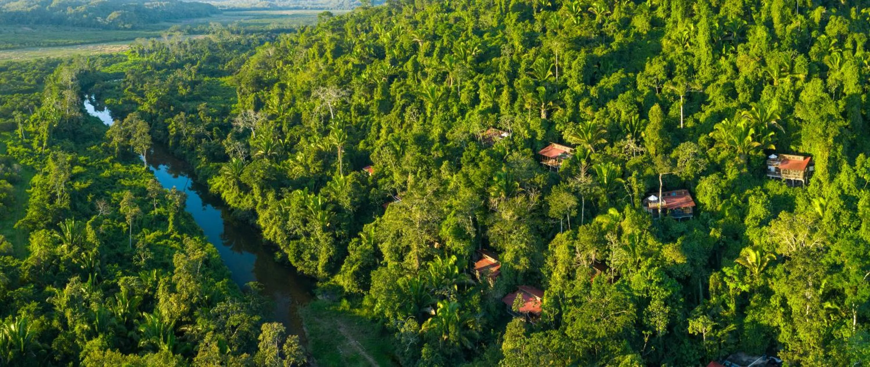 Ian Anderson Caves Branch Jungle Lodge
