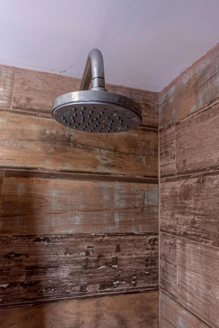 Shower in Romina Art Hotel