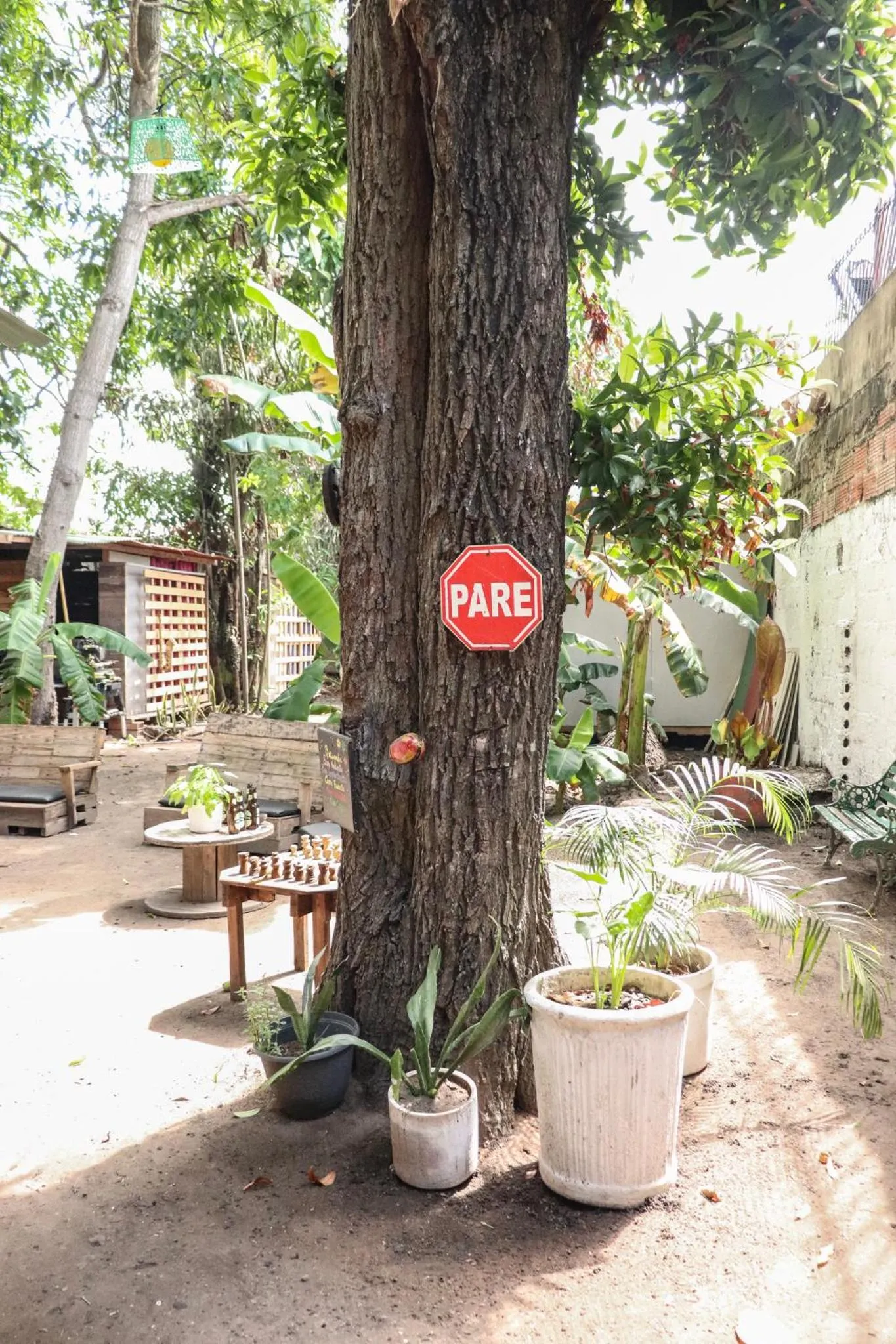 Nahimara Champeta Hostel