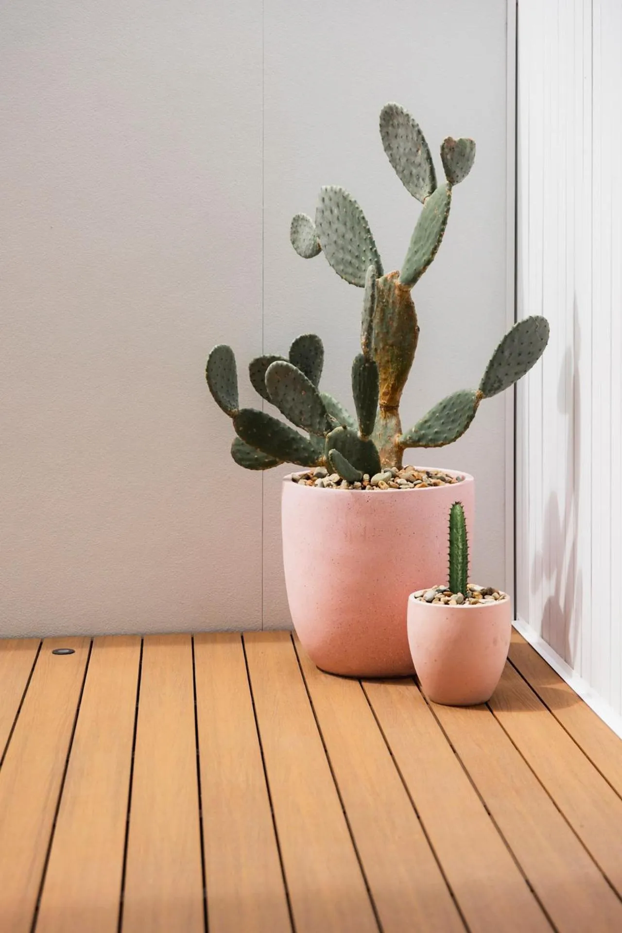 Garden in Surfside 22