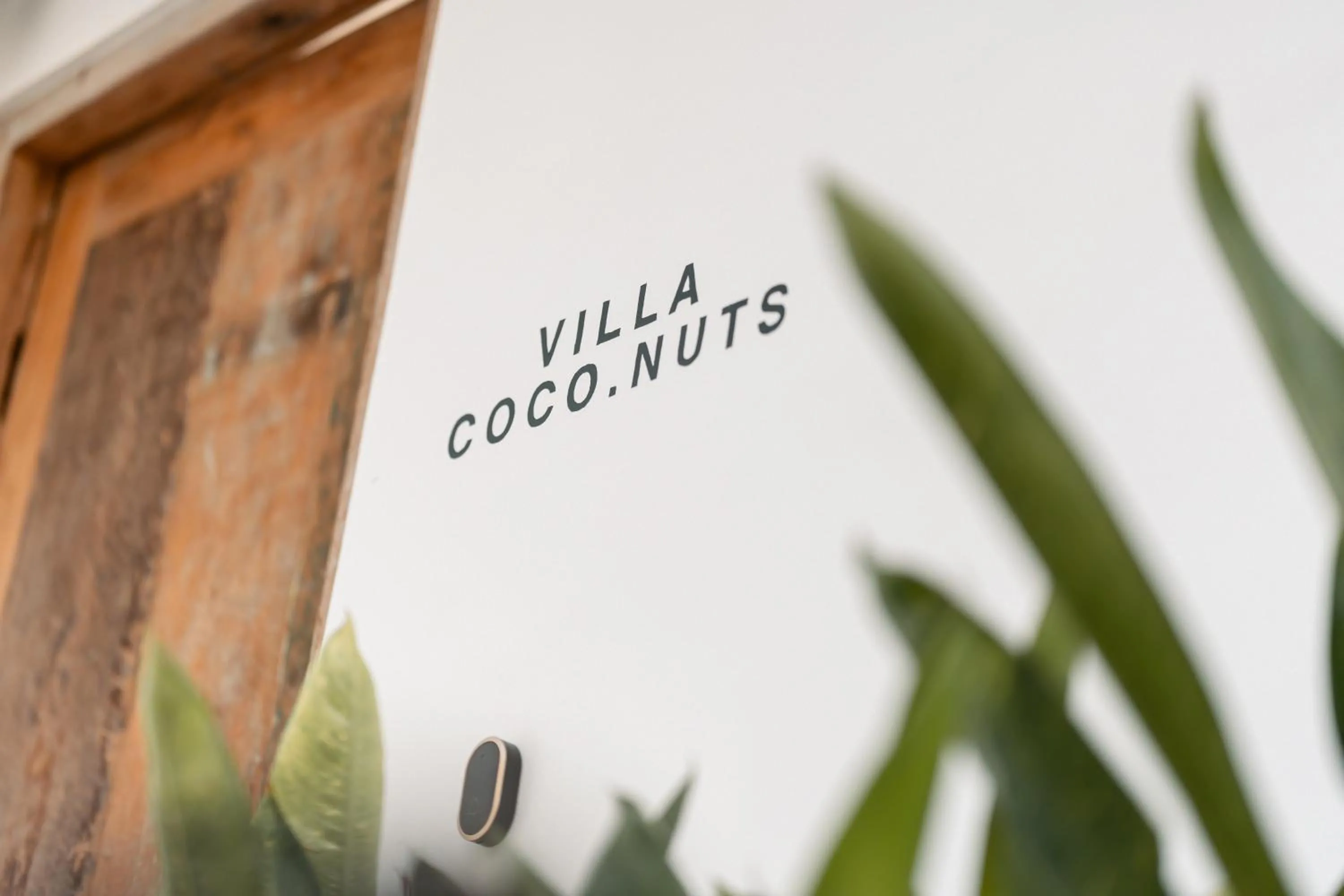 Villa Coco Nuts Pererenan