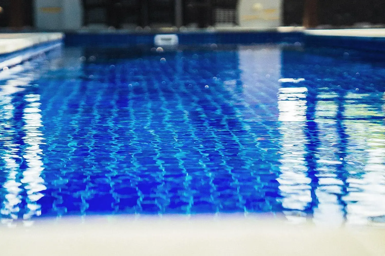 Swimming pool in Trees and Fishes Private Retreat Swimming pool in Trees and Fishes Private Retreat