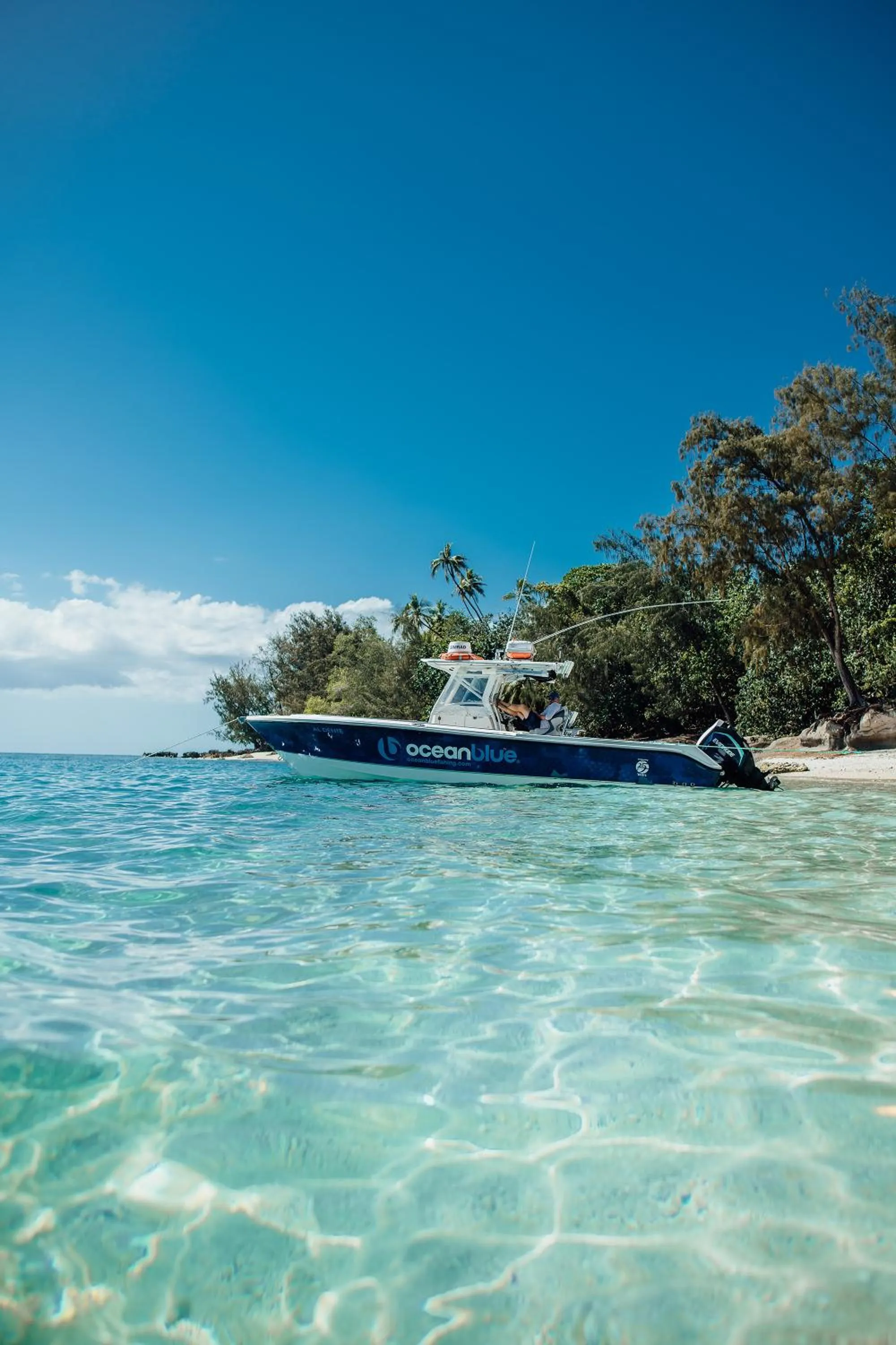 Beach in Trees and Fishes Private Retreat