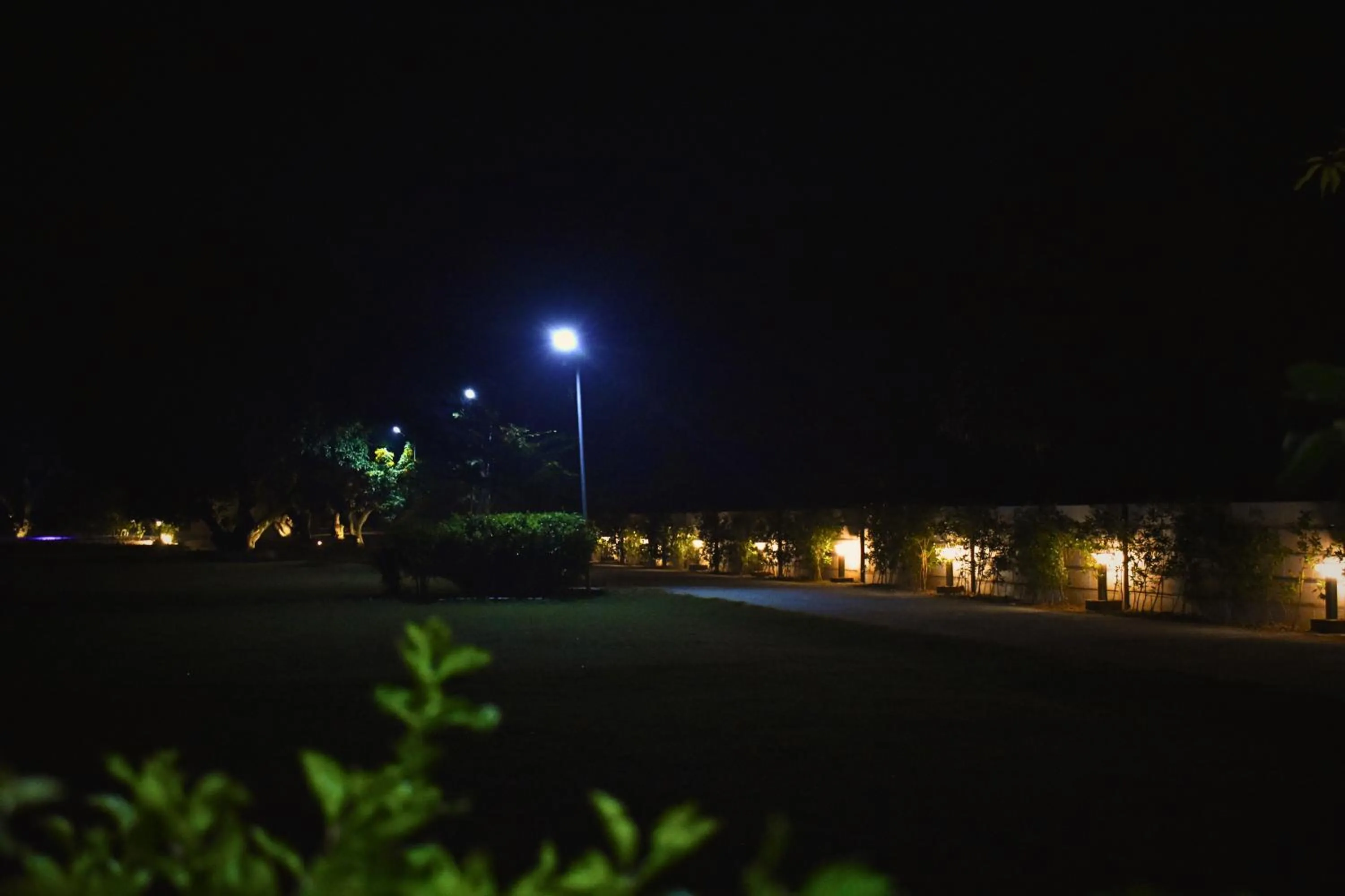 Night in The Greenwich resort