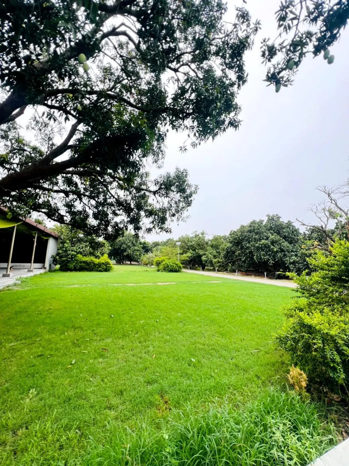 Garden in The Greenwich resort