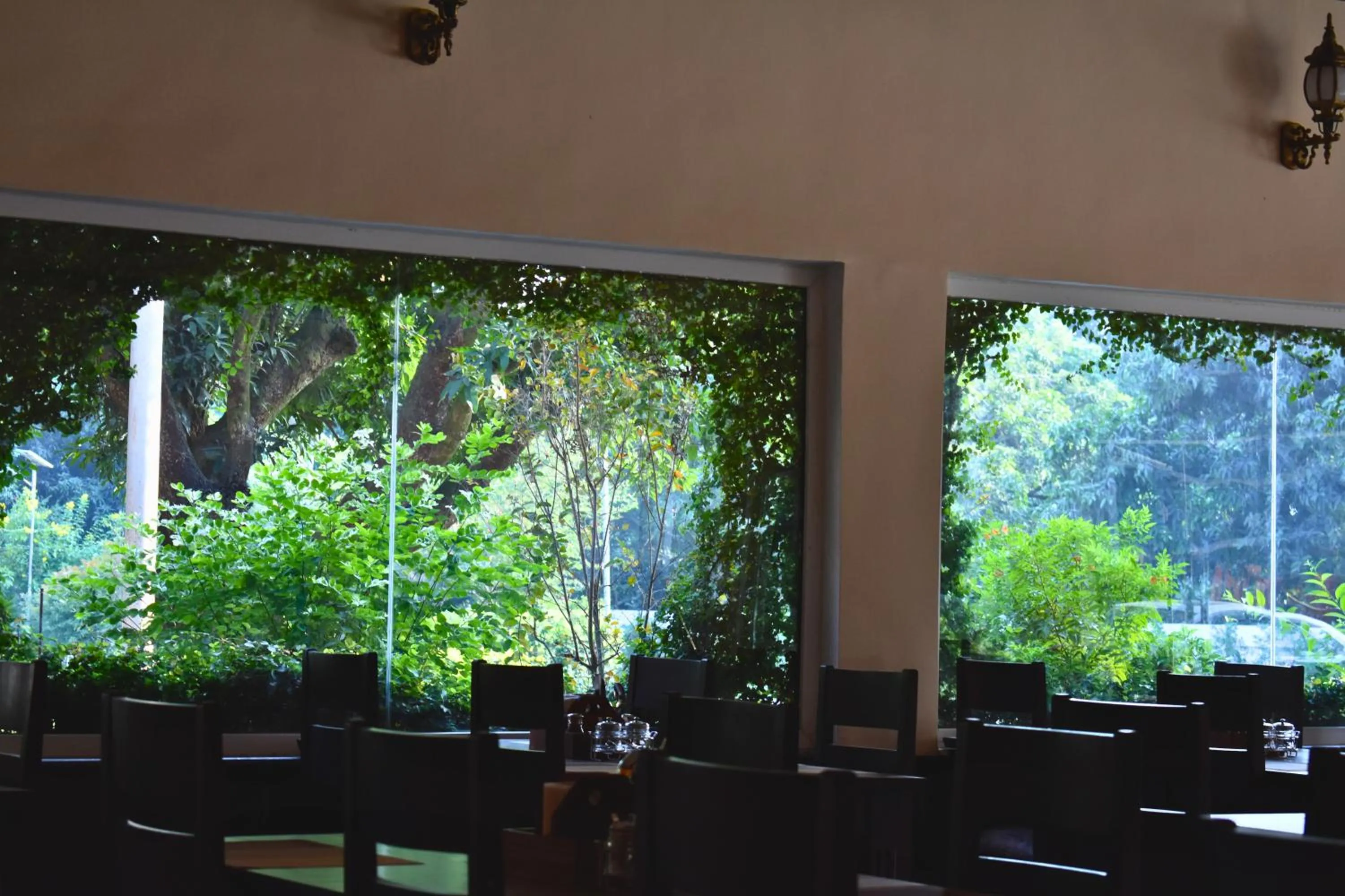 Restaurant/places to eat in The Greenwich resort