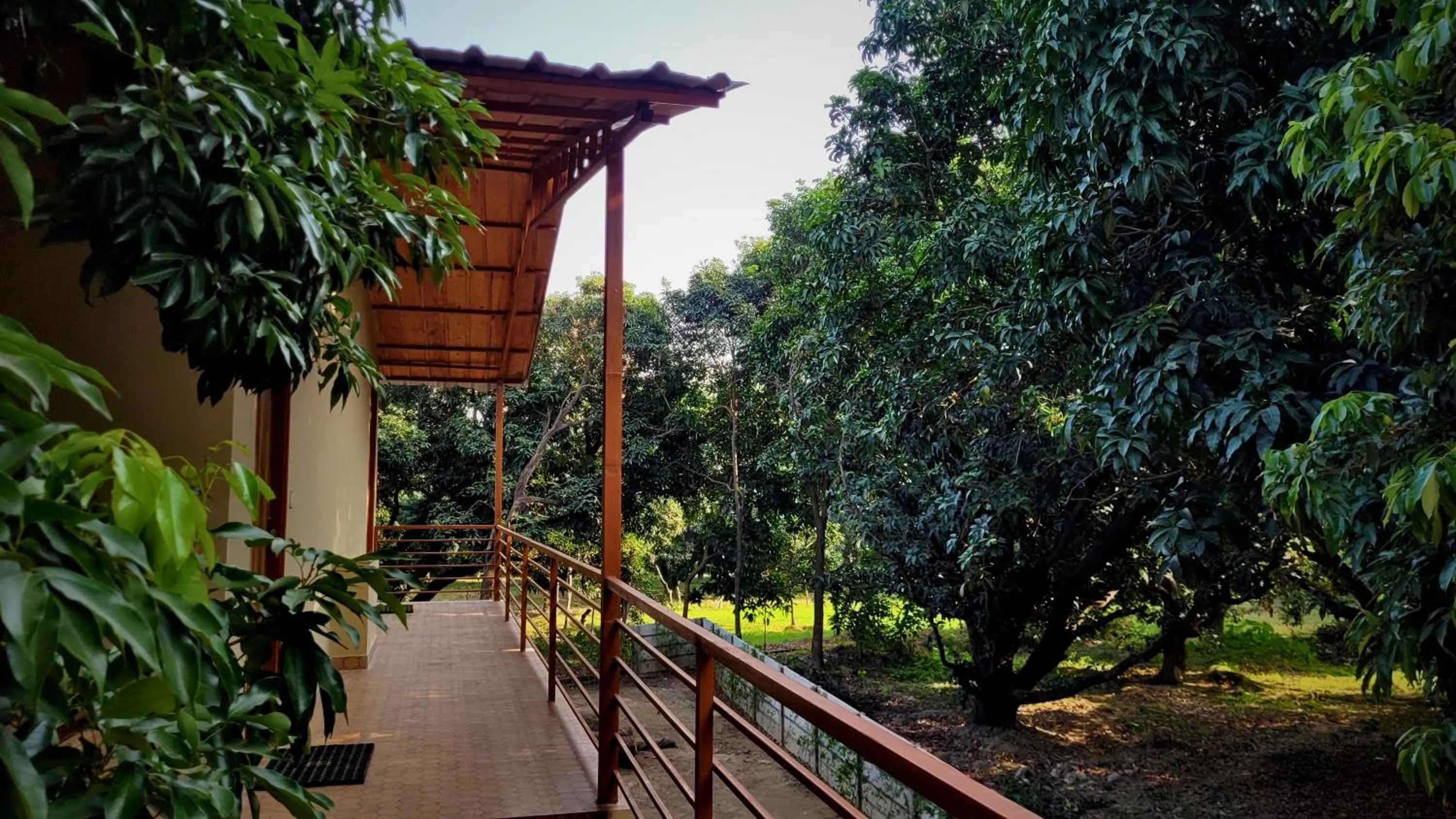 Natural landscape in The Greenwich resort