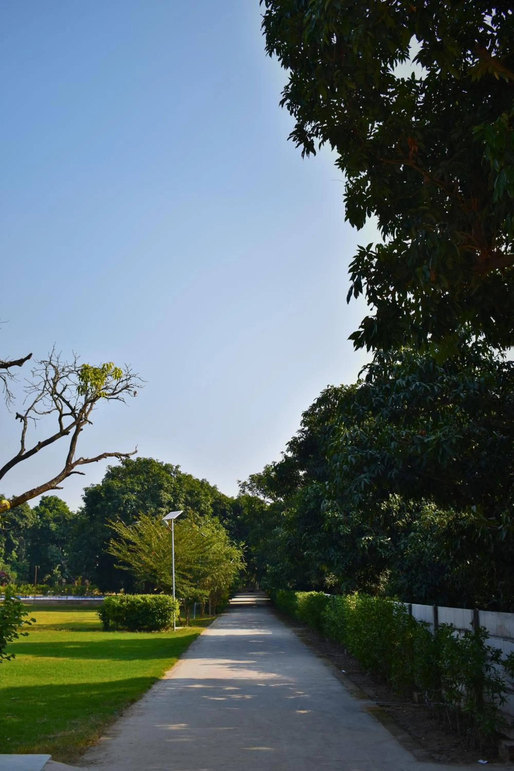 View (from property/room) in The Greenwich resort