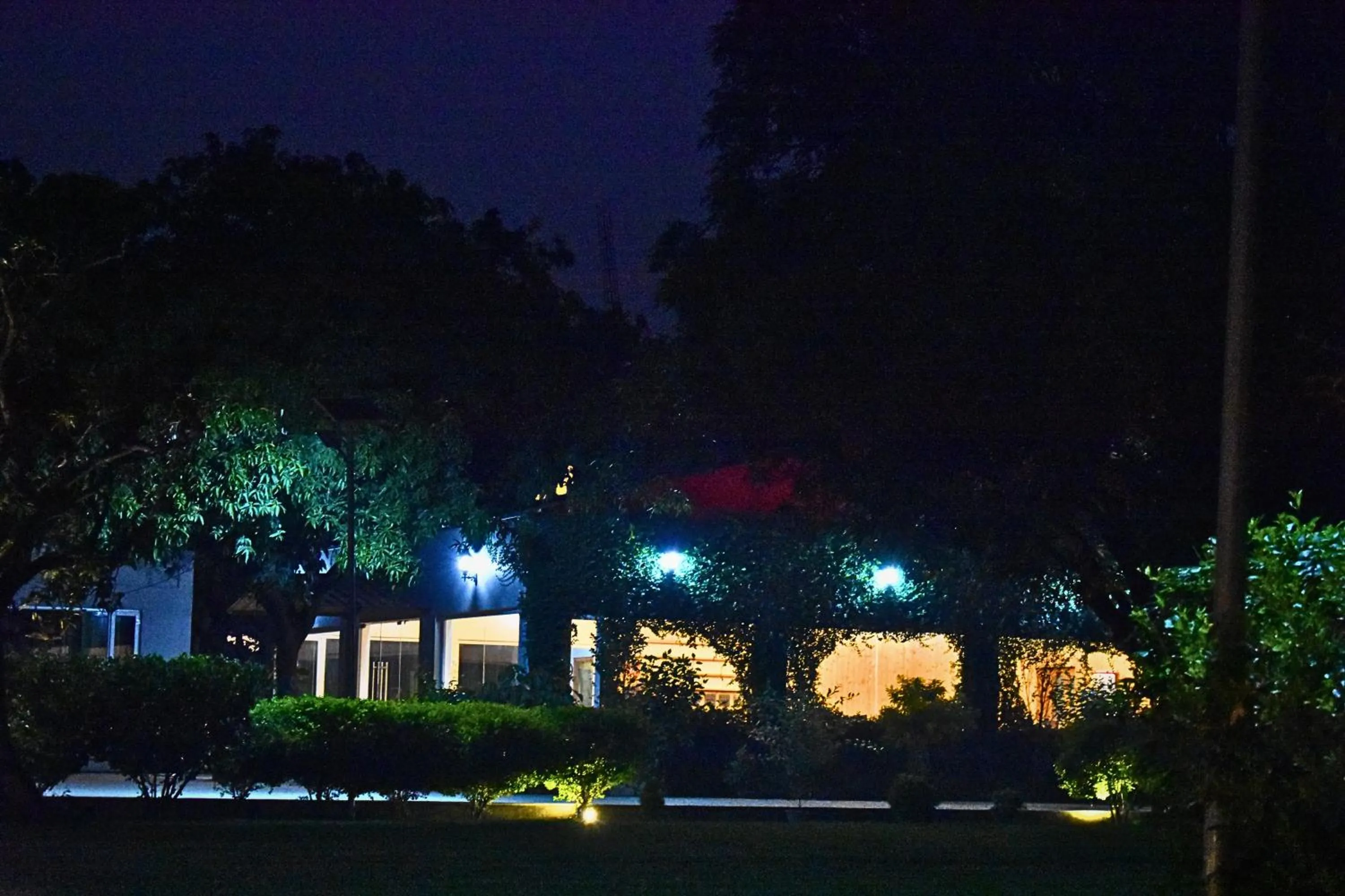 Night in The Greenwich resort