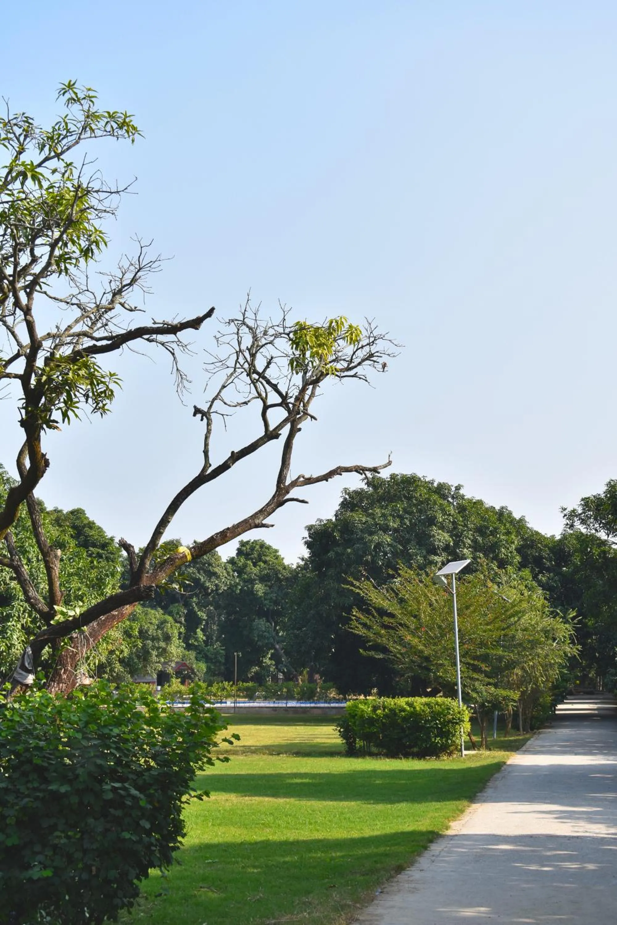 View (from property/room) in The Greenwich resort