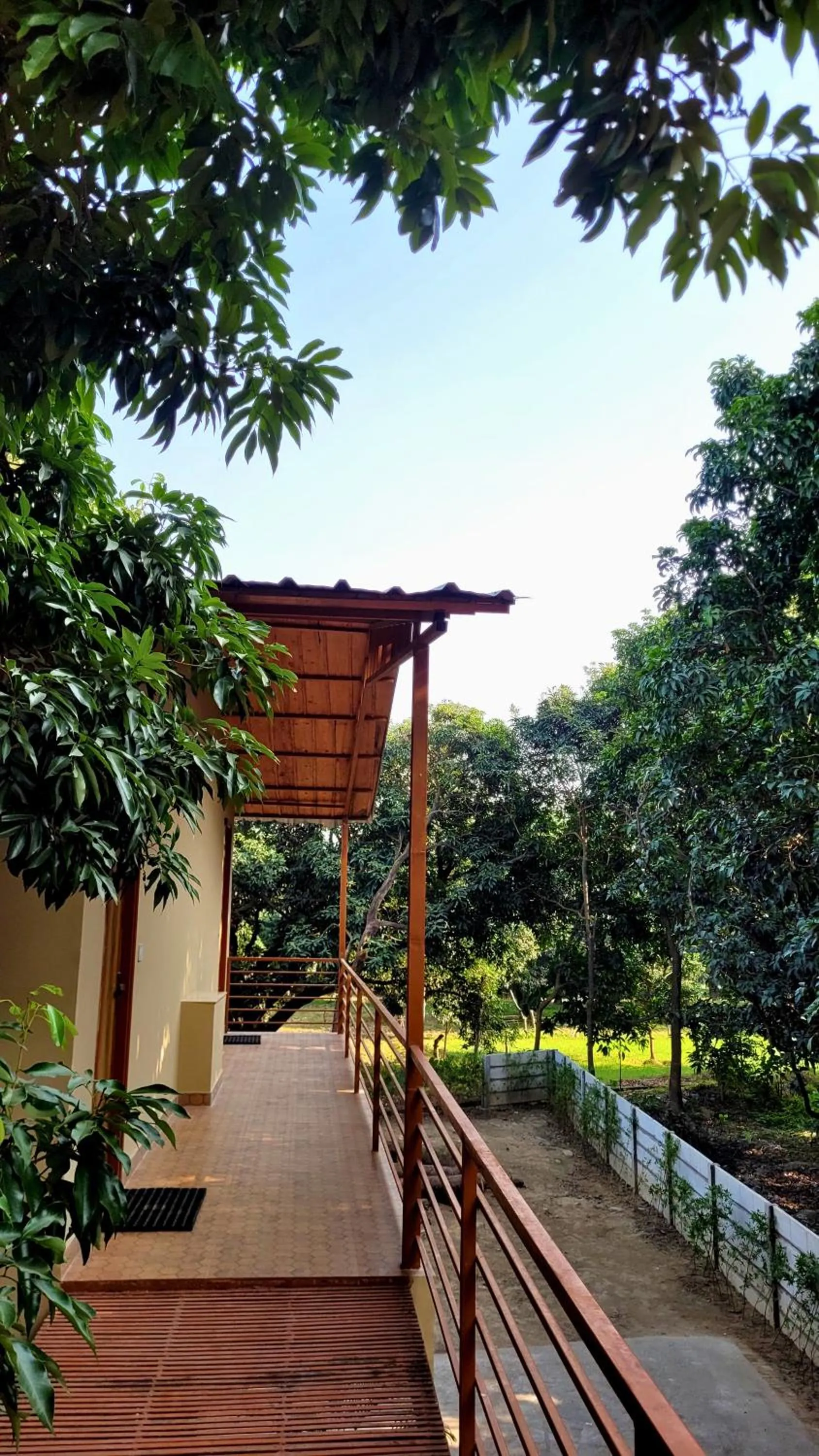 Balcony/Terrace in The Greenwich resort