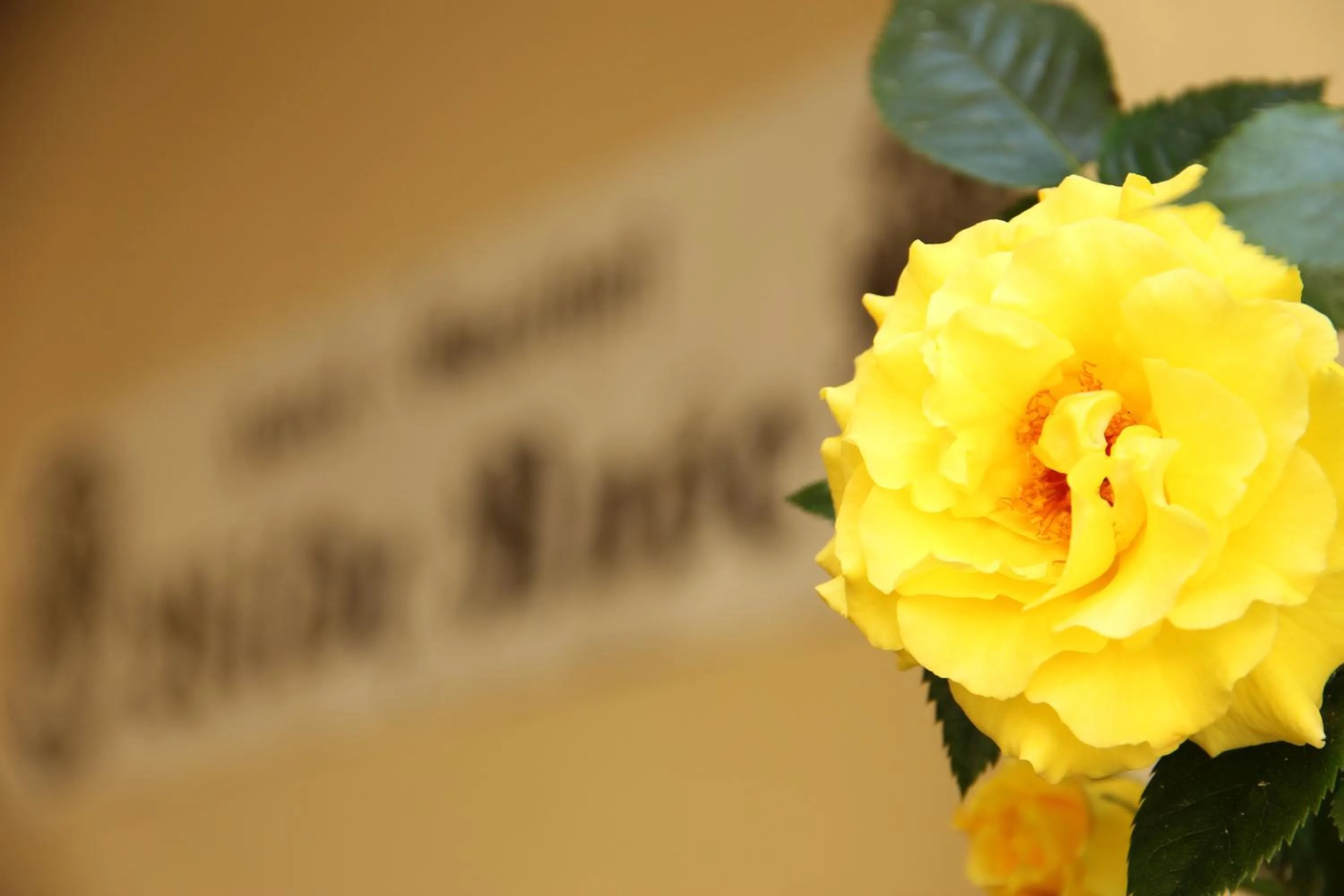 Property building in Hotel-Gasthof Wilde Rose